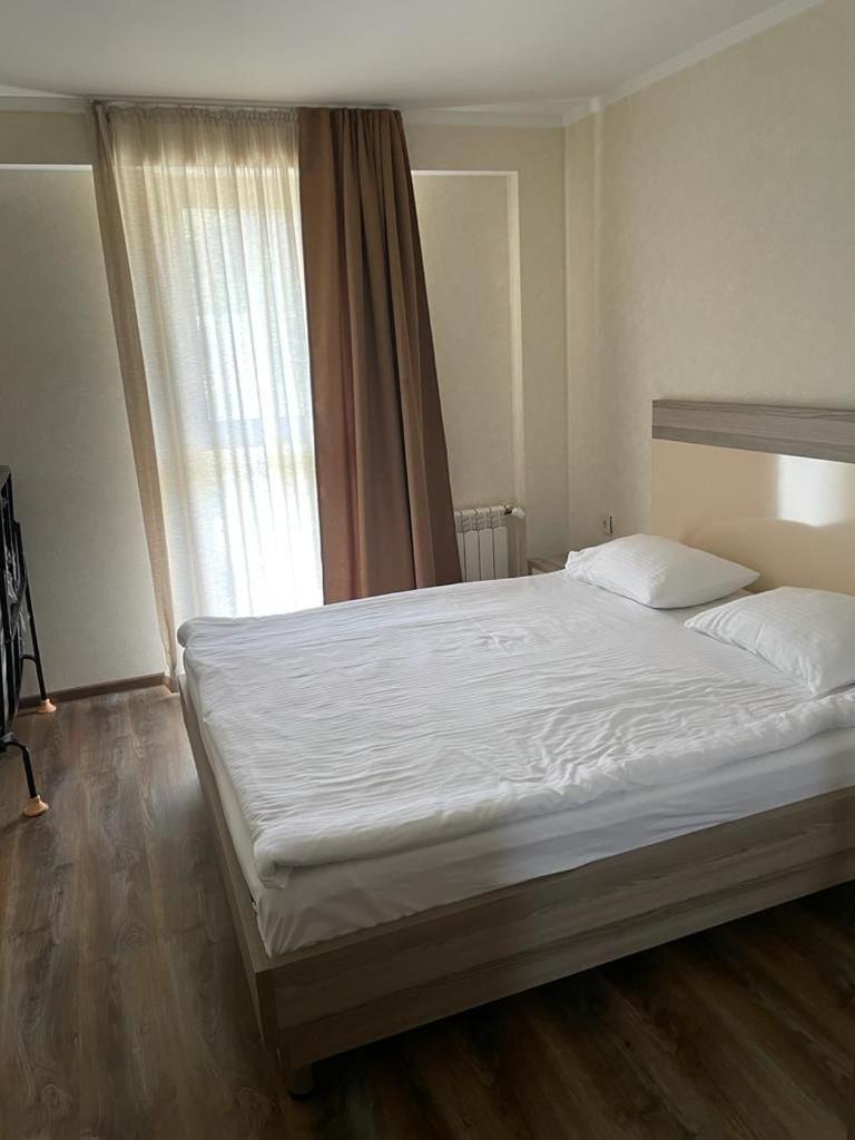 Orbi Palace 404 Bakuriani view 2