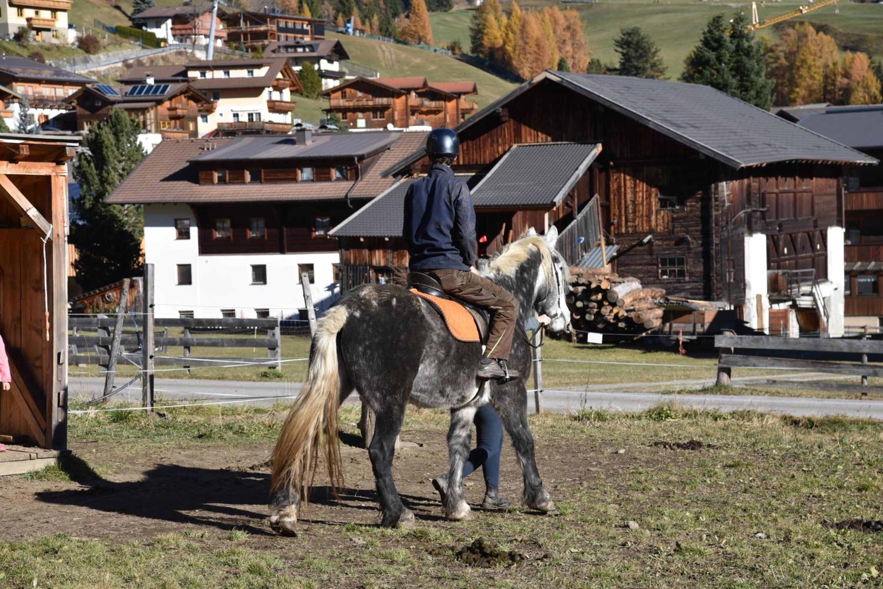 Obenfigerhof
