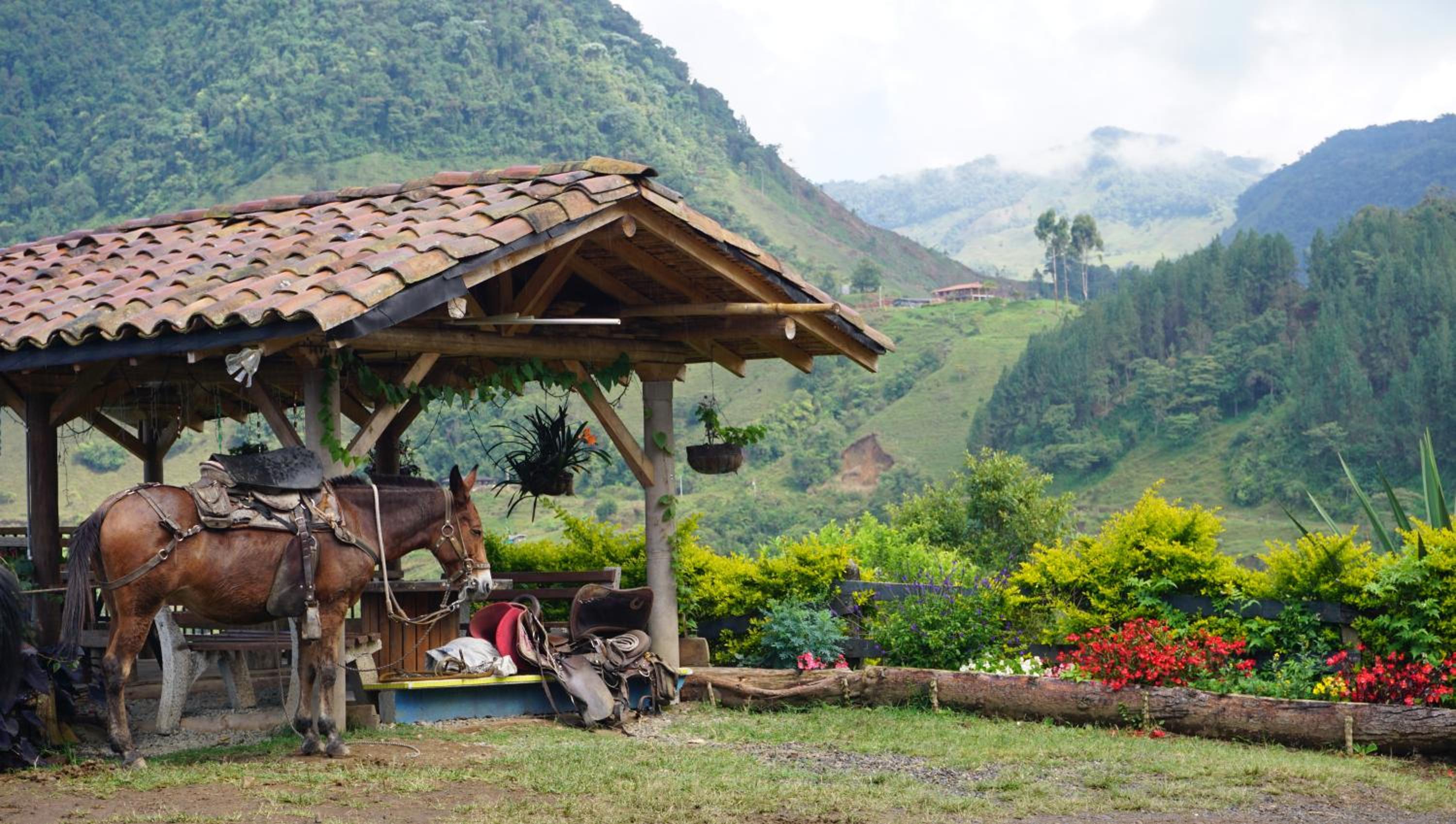 Finca Carrizales