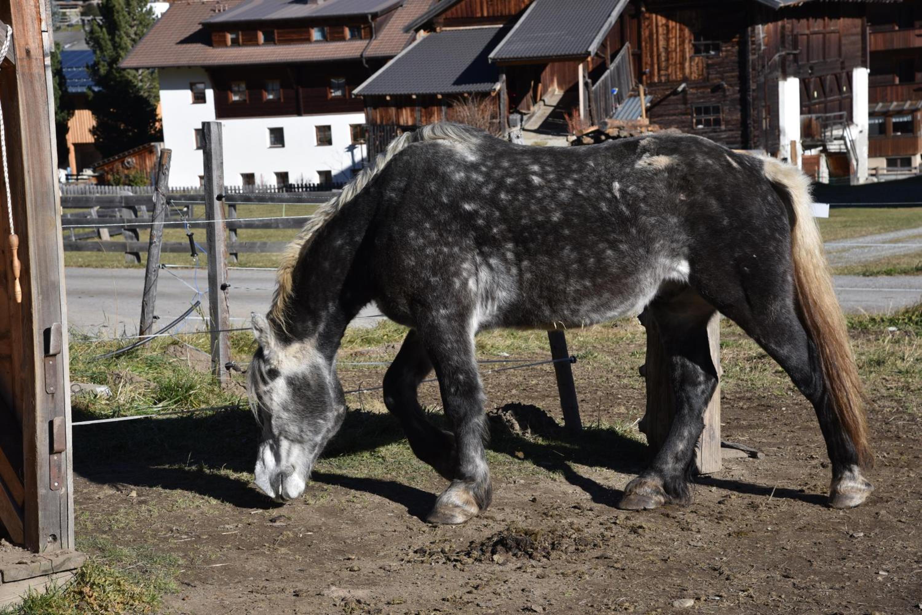 Obenfigerhof