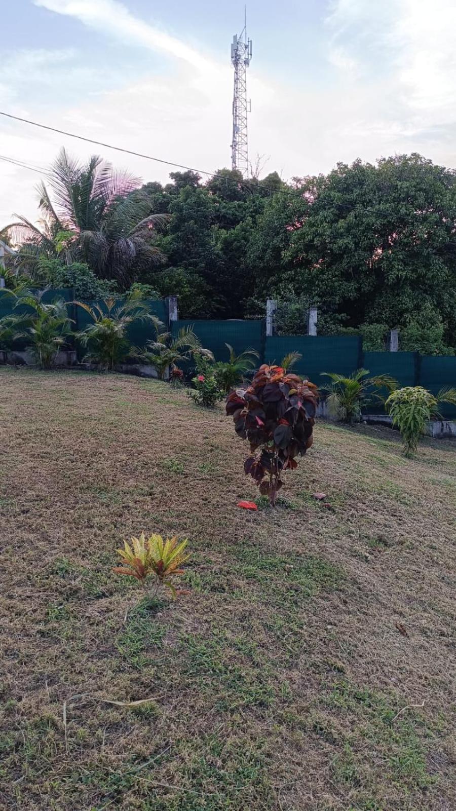 Photo 34