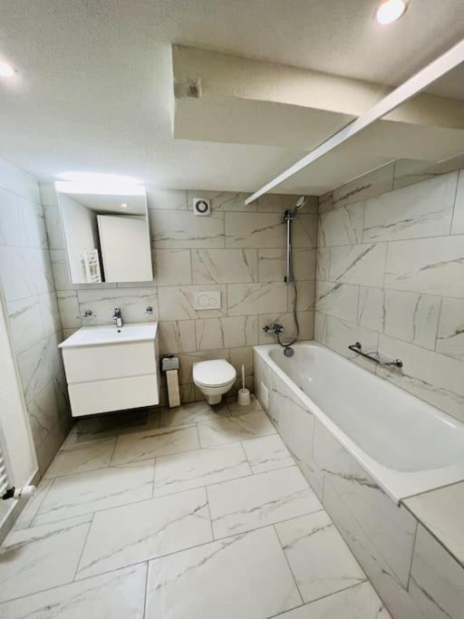 Skiing & Snowboard Apartment Accessible by Public Transport