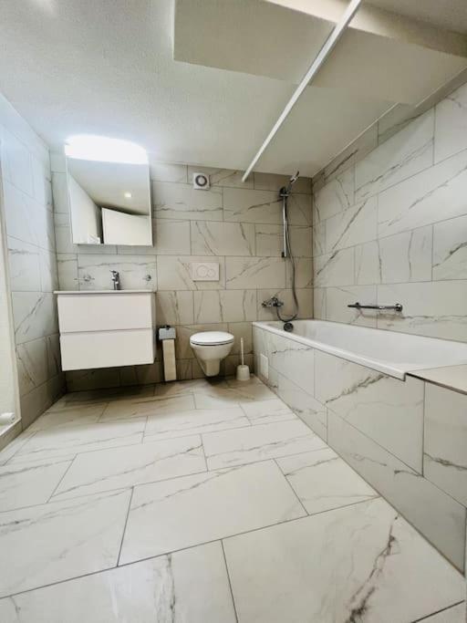 Skiing & Snowboard Apartment Accessible by Public Transport