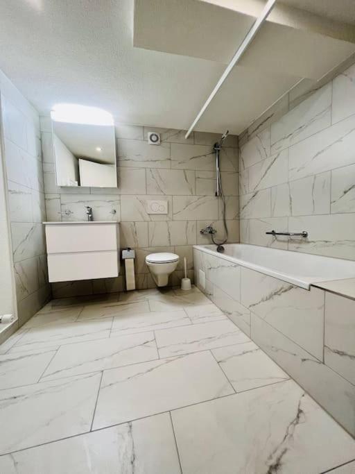 Skiing & Snowboard Apartment Accessible by Public Transport