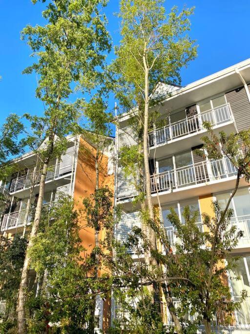 Apartamento Vista Bosque y Cordillera