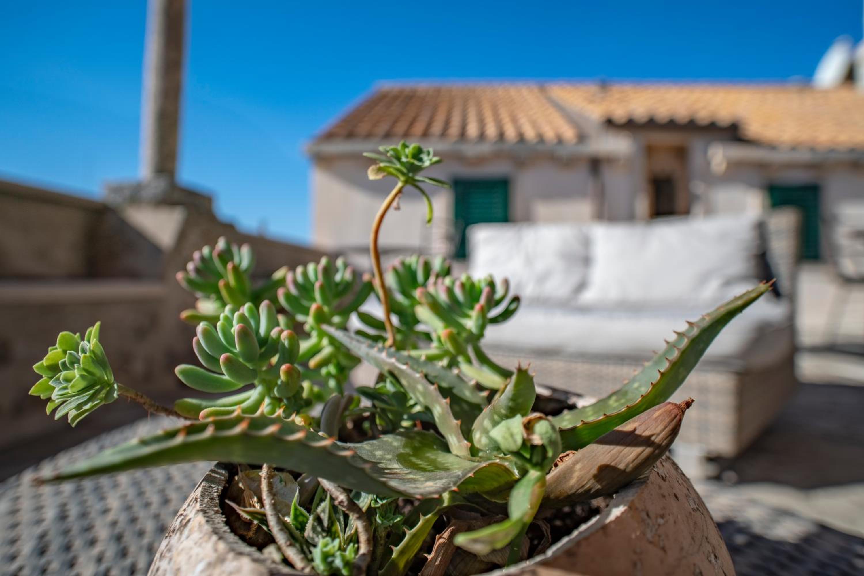 Villa Ragusa Vecchia