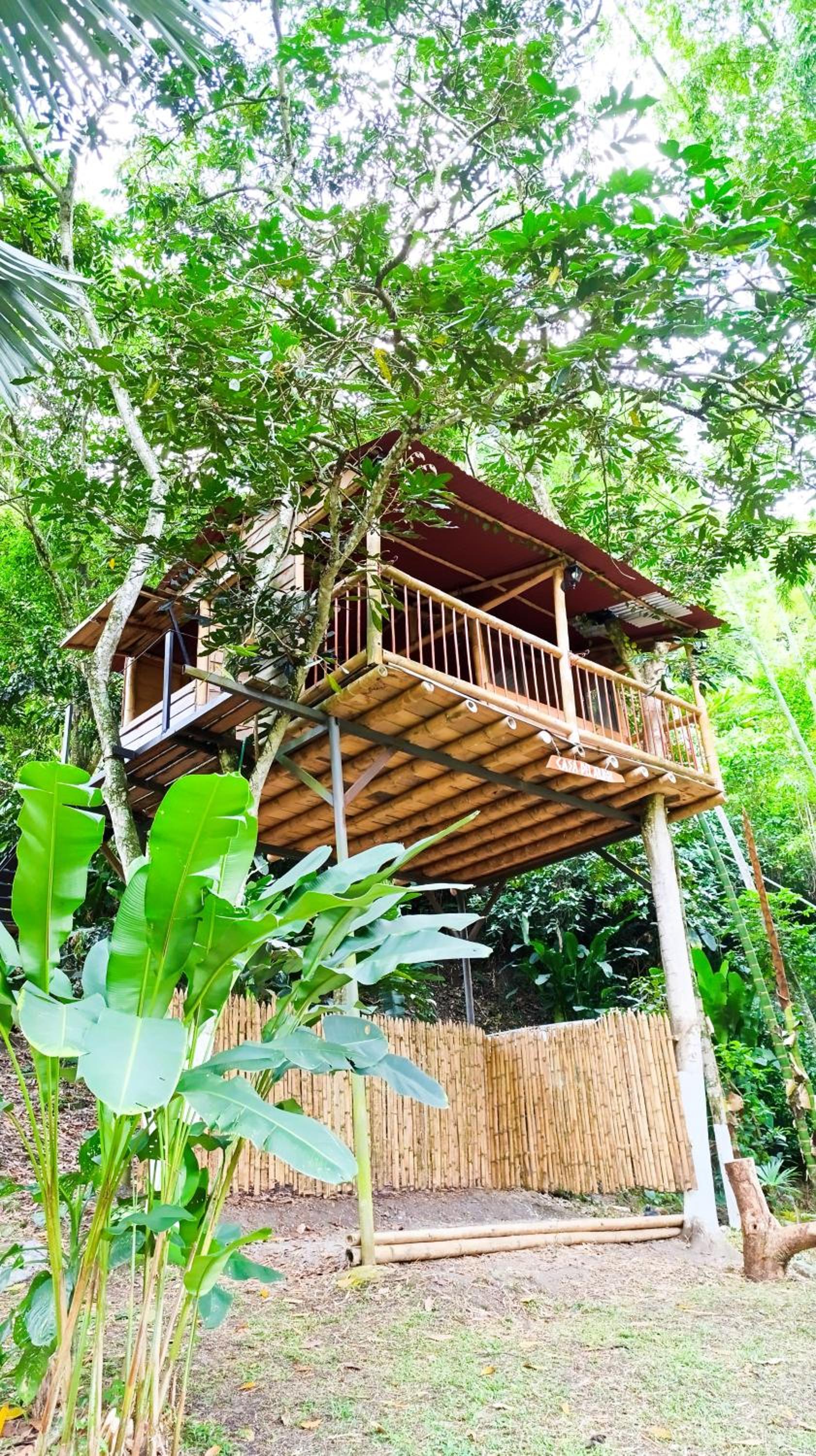 Eco Hotel Guadalupana