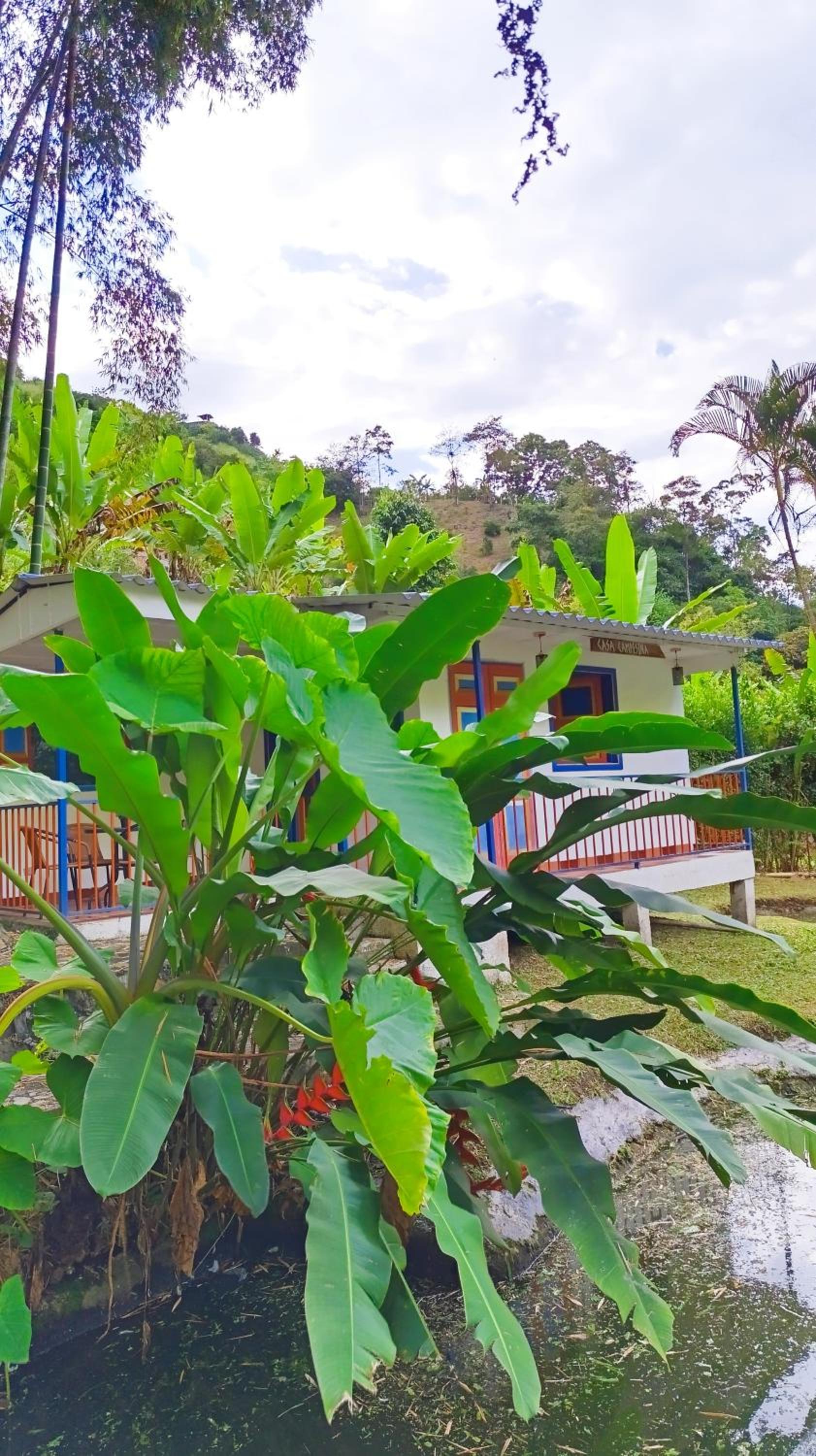 Eco Hotel Guadalupana
