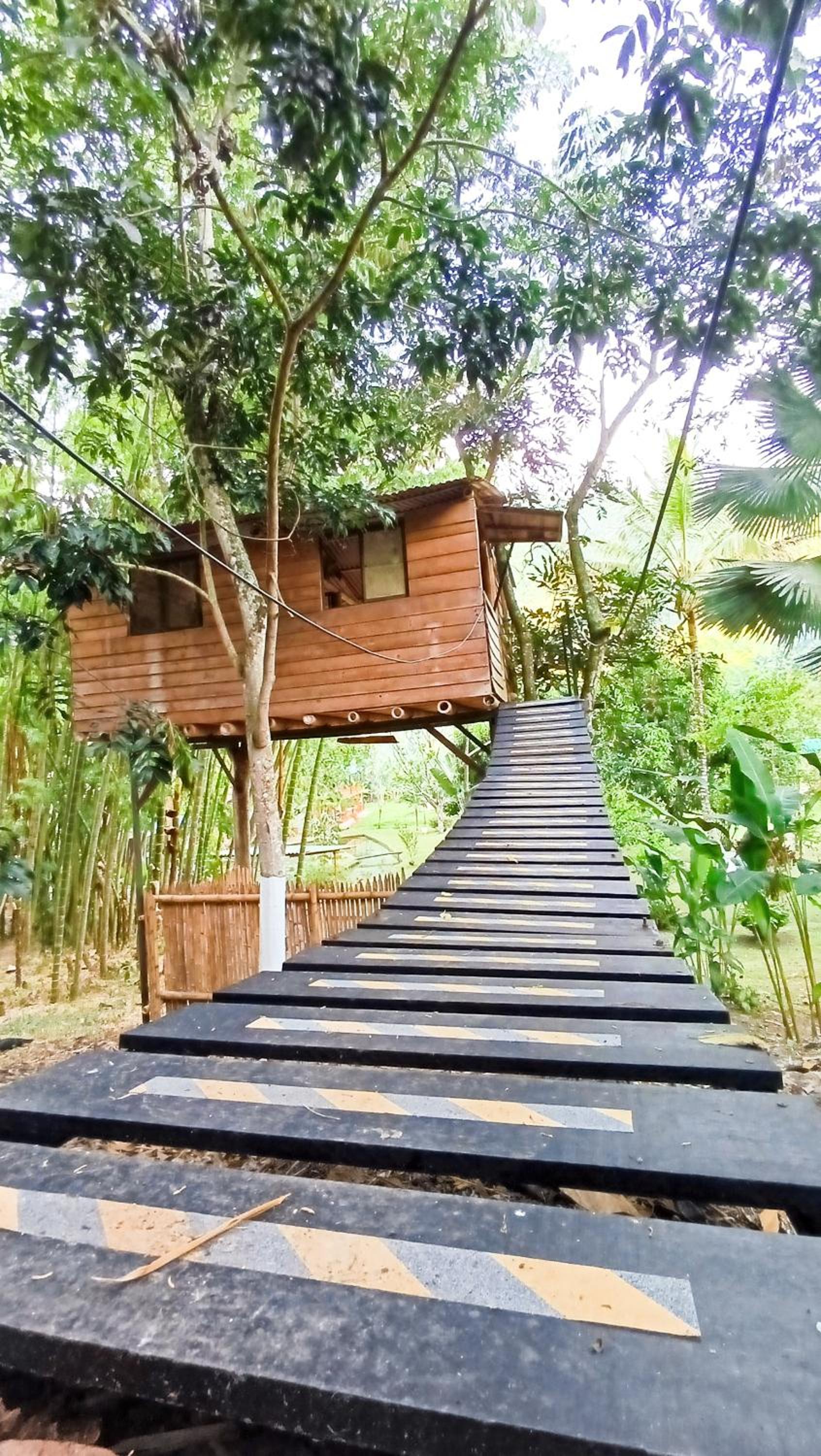 Eco Hotel Guadalupana