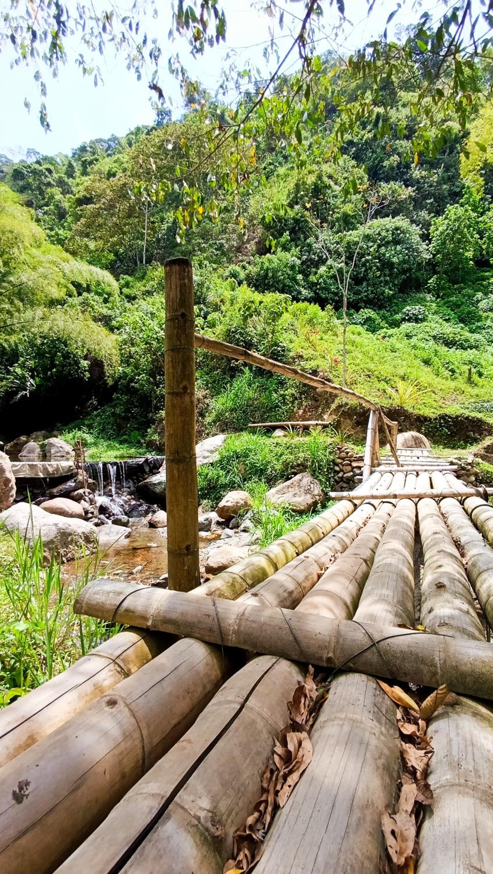 Eco Hotel Guadalupana