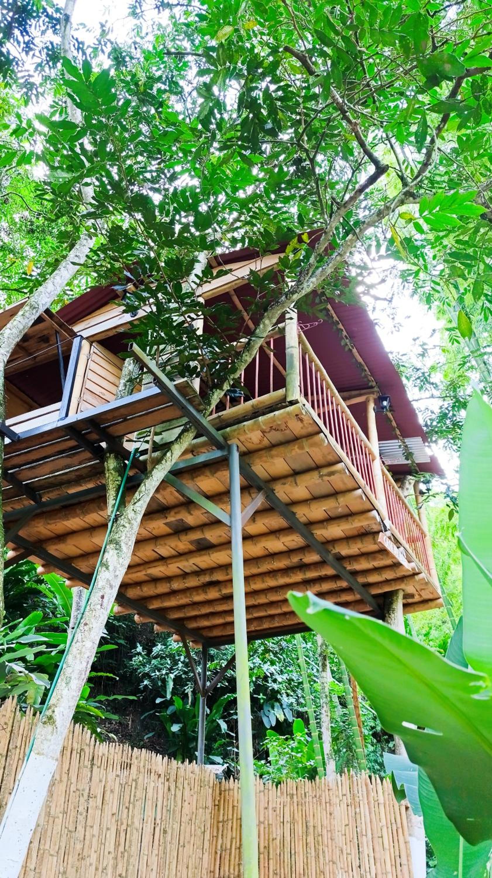 Eco Hotel Guadalupana