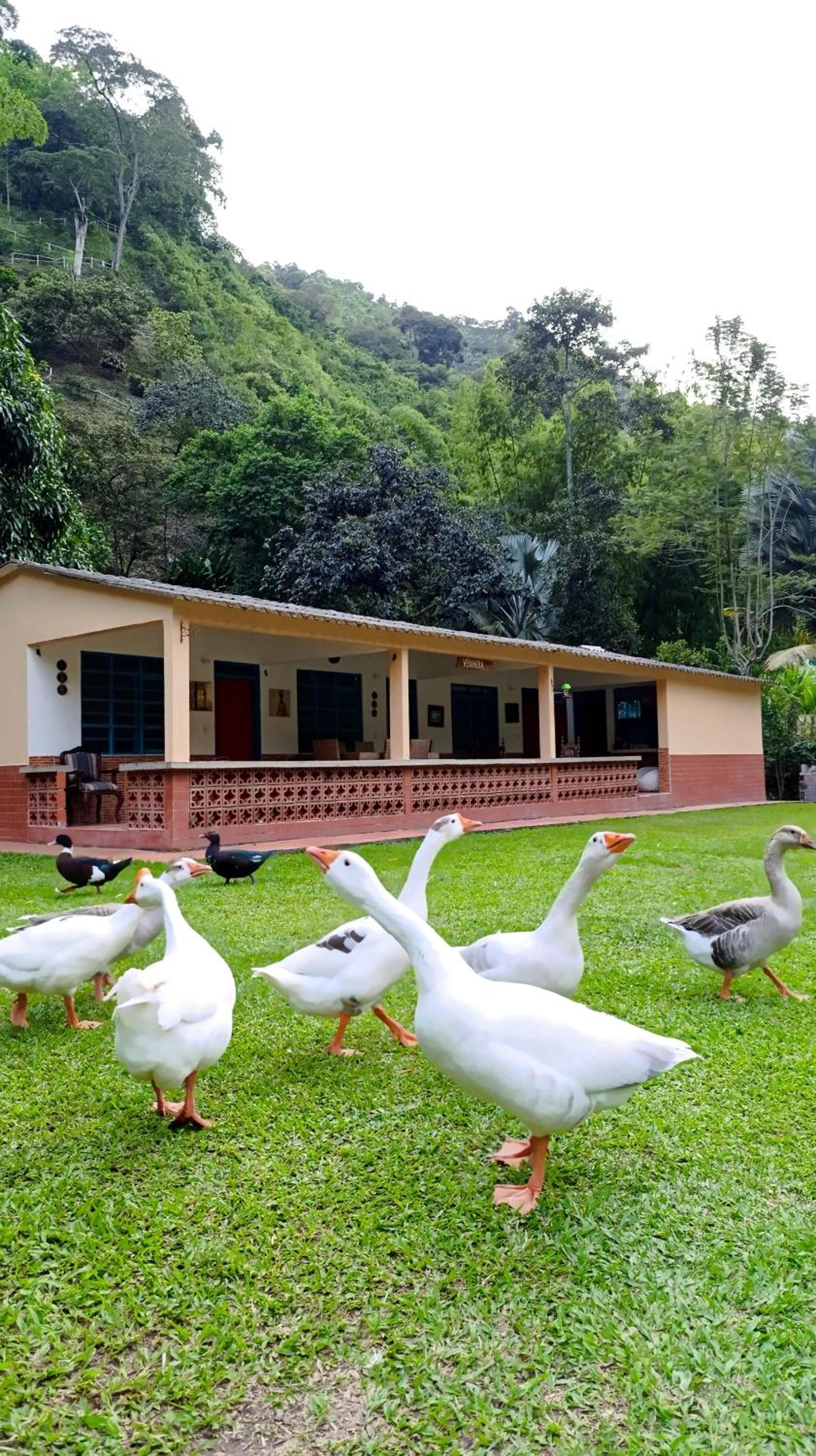 Eco Hotel Guadalupana