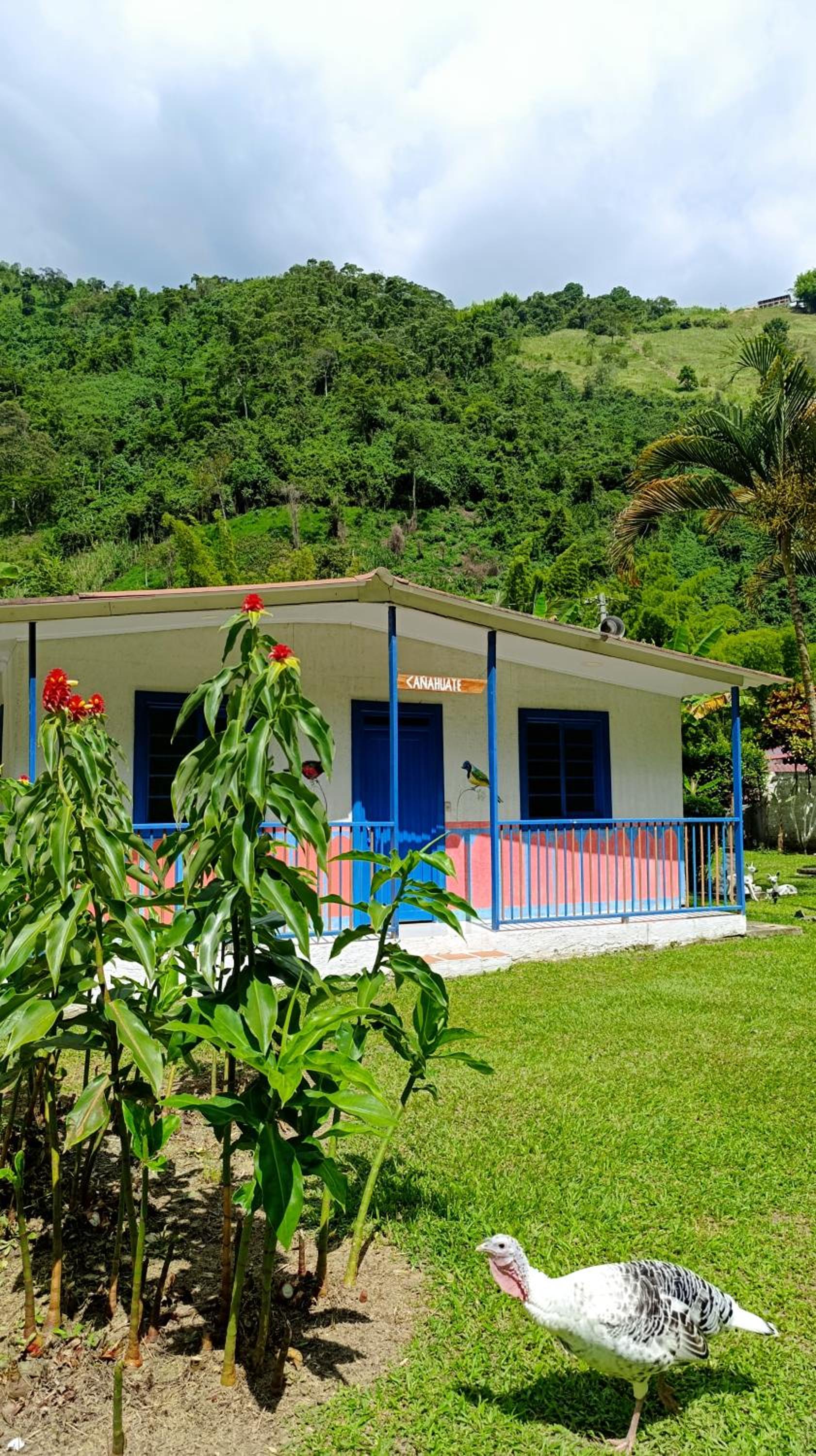 Eco Hotel Guadalupana