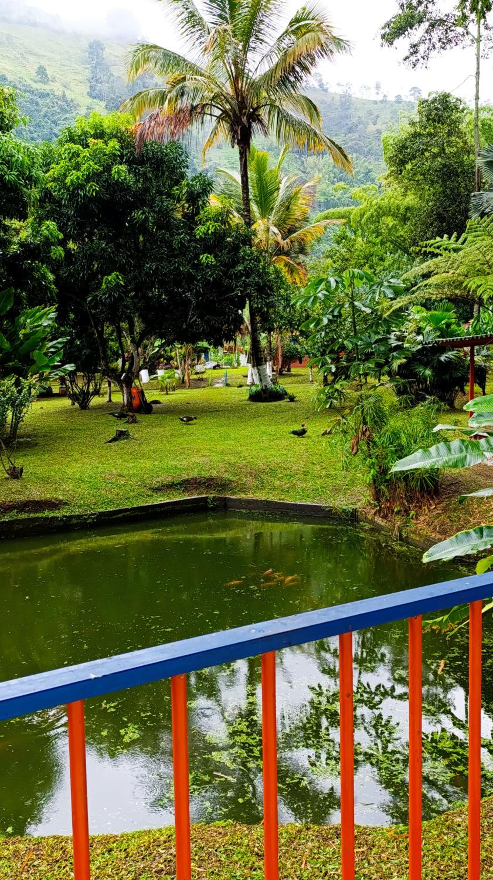 Eco Hotel Guadalupana