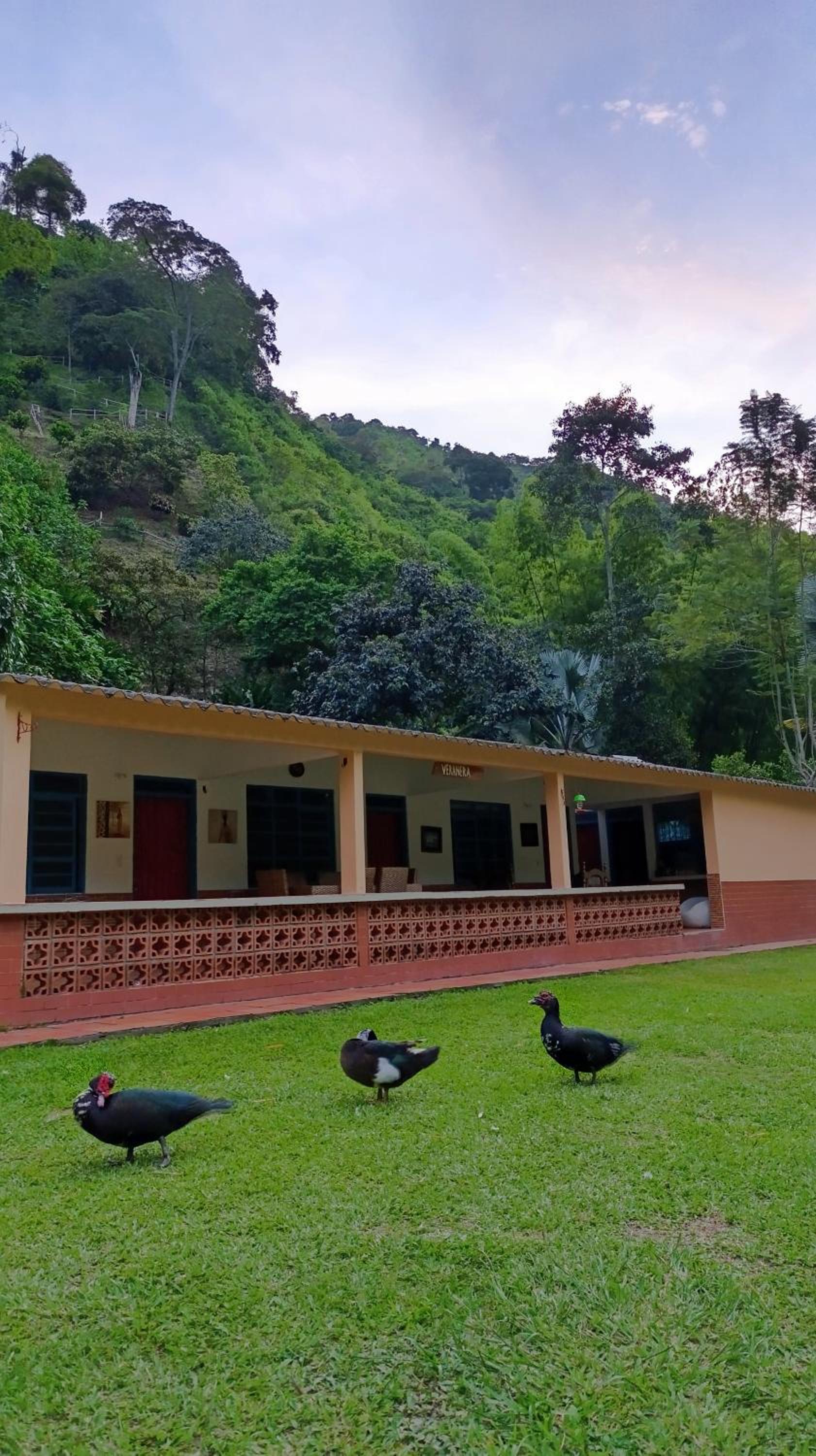 Eco Hotel Guadalupana