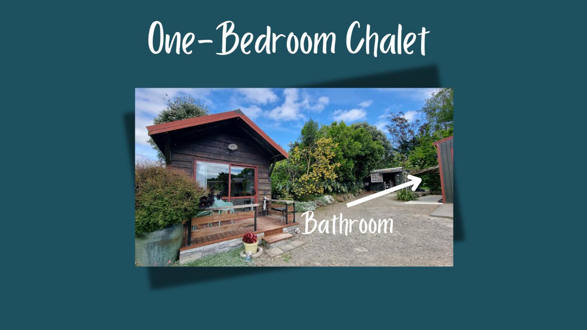 Swiss-Kiwi Cottage and Retreat, B&B view 3