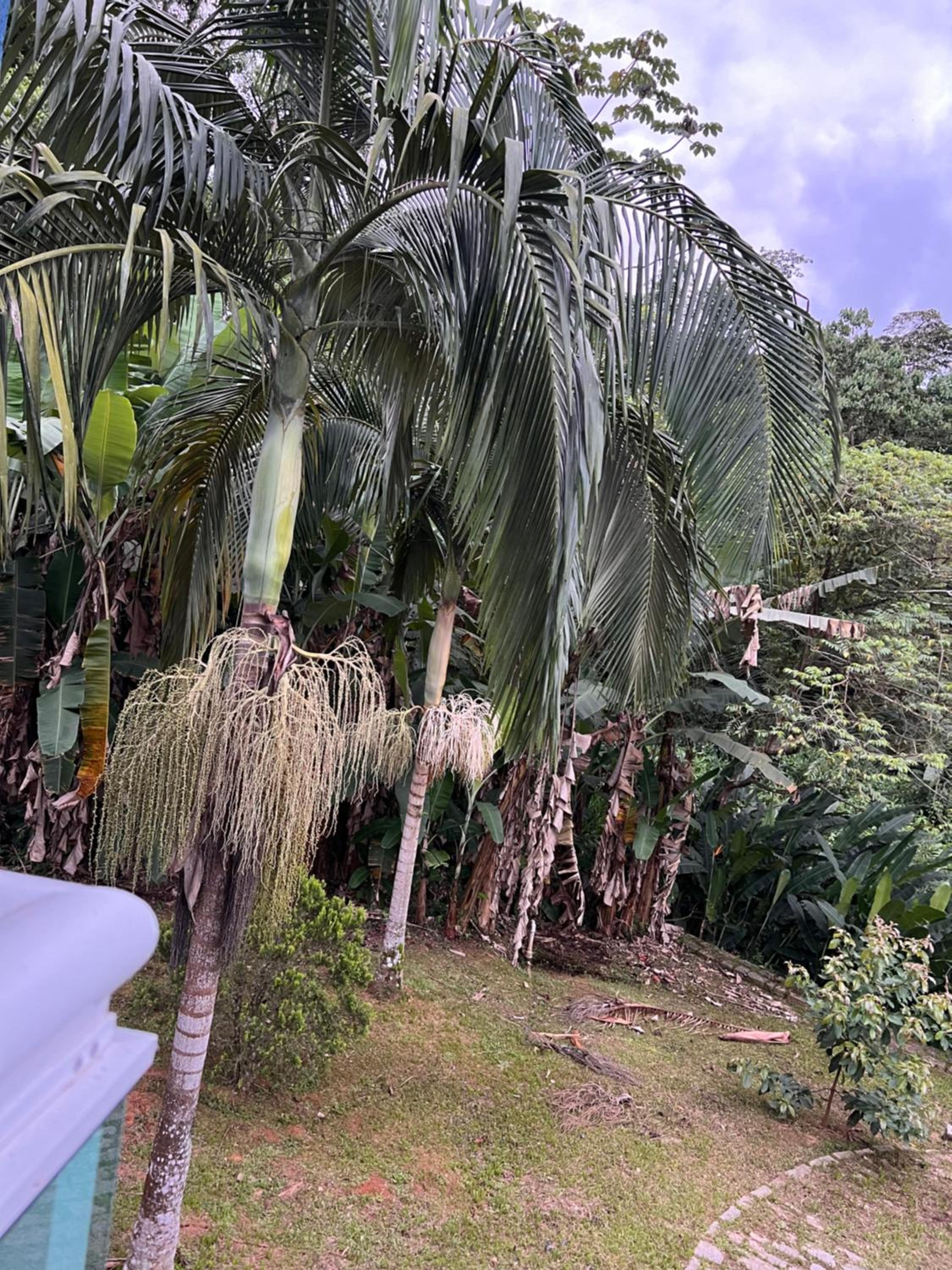 Casa Azul Paraty Climatizada a 6km do centro histórico