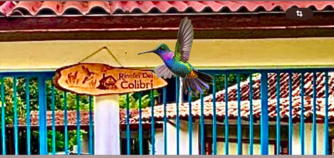 Rincón del Colibrí