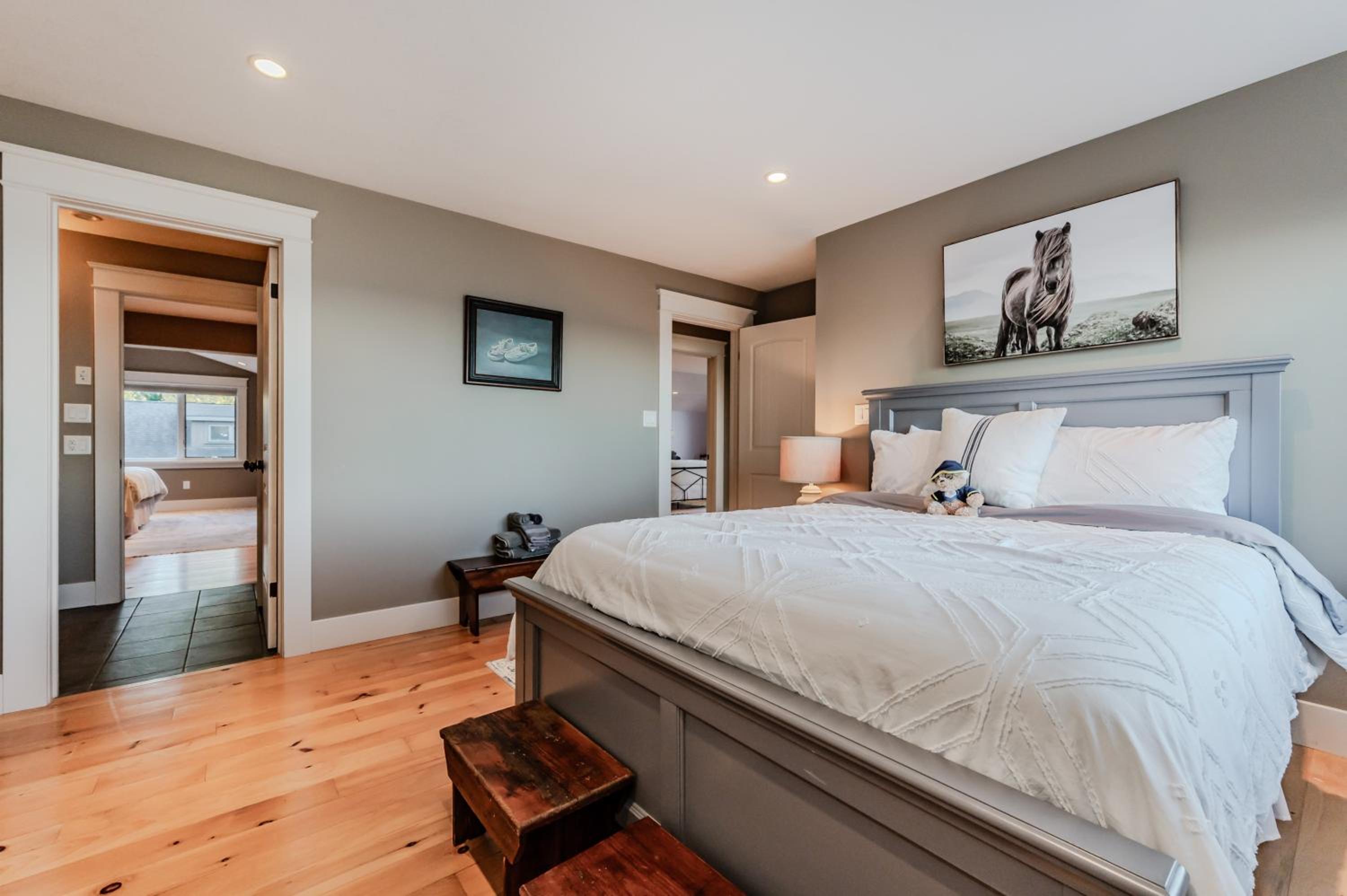 Michael's Luxury Cottage on Bruce Trail Starlink