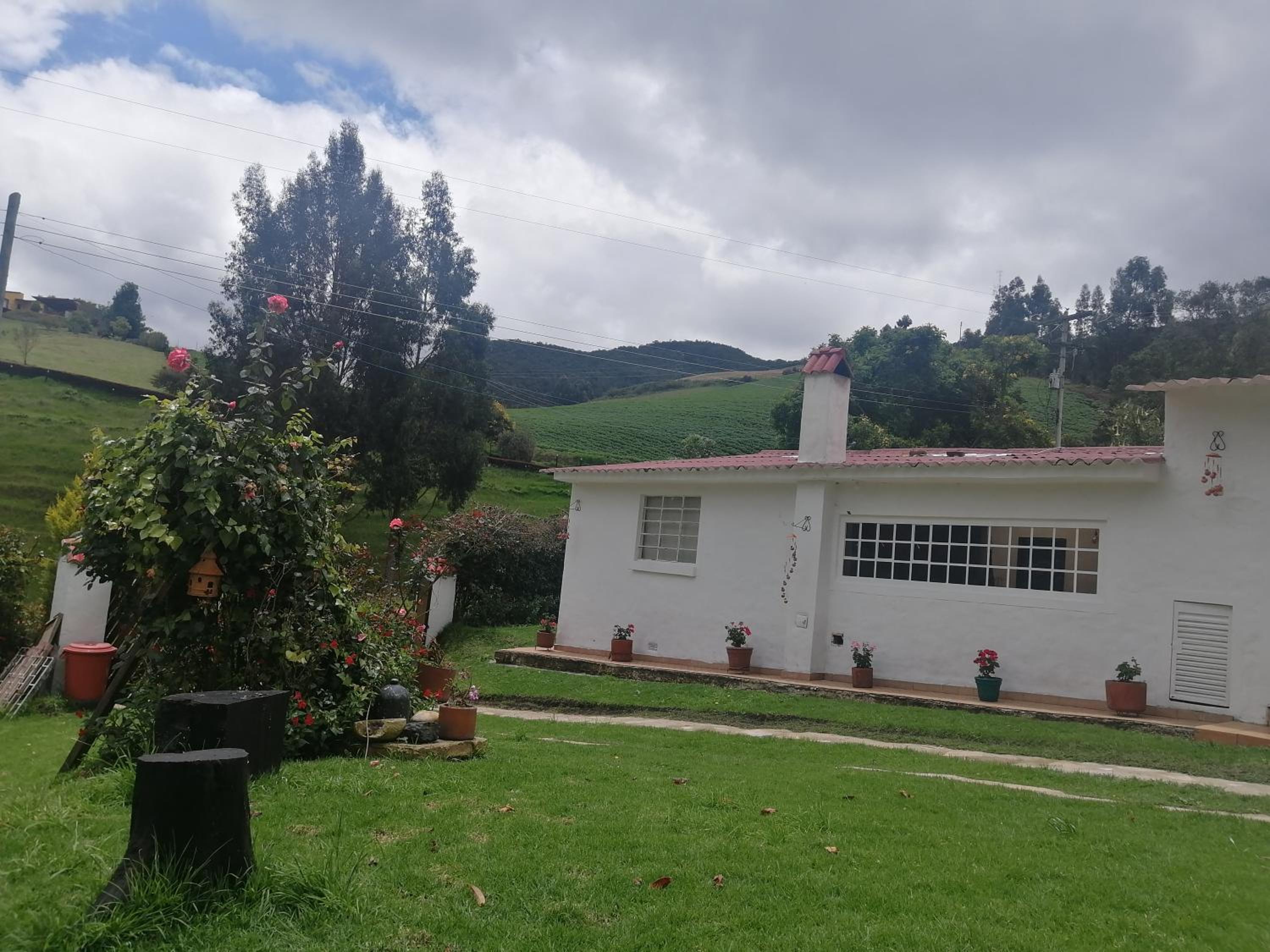 La pradera