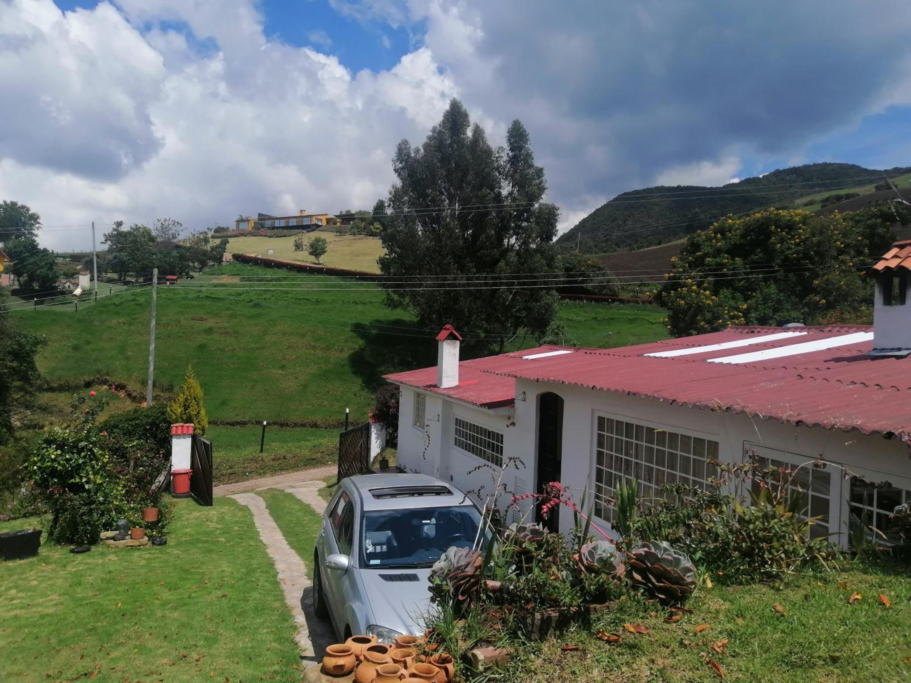 La pradera