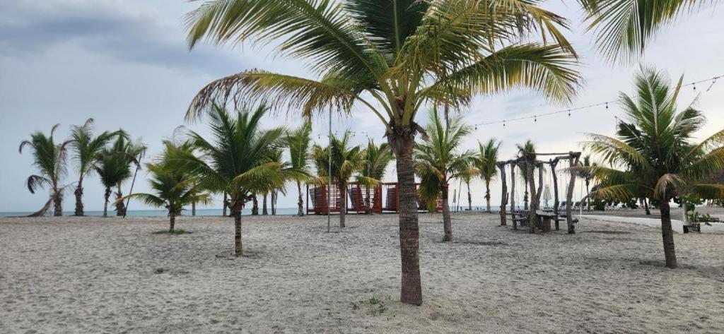 PH CORAL PARk