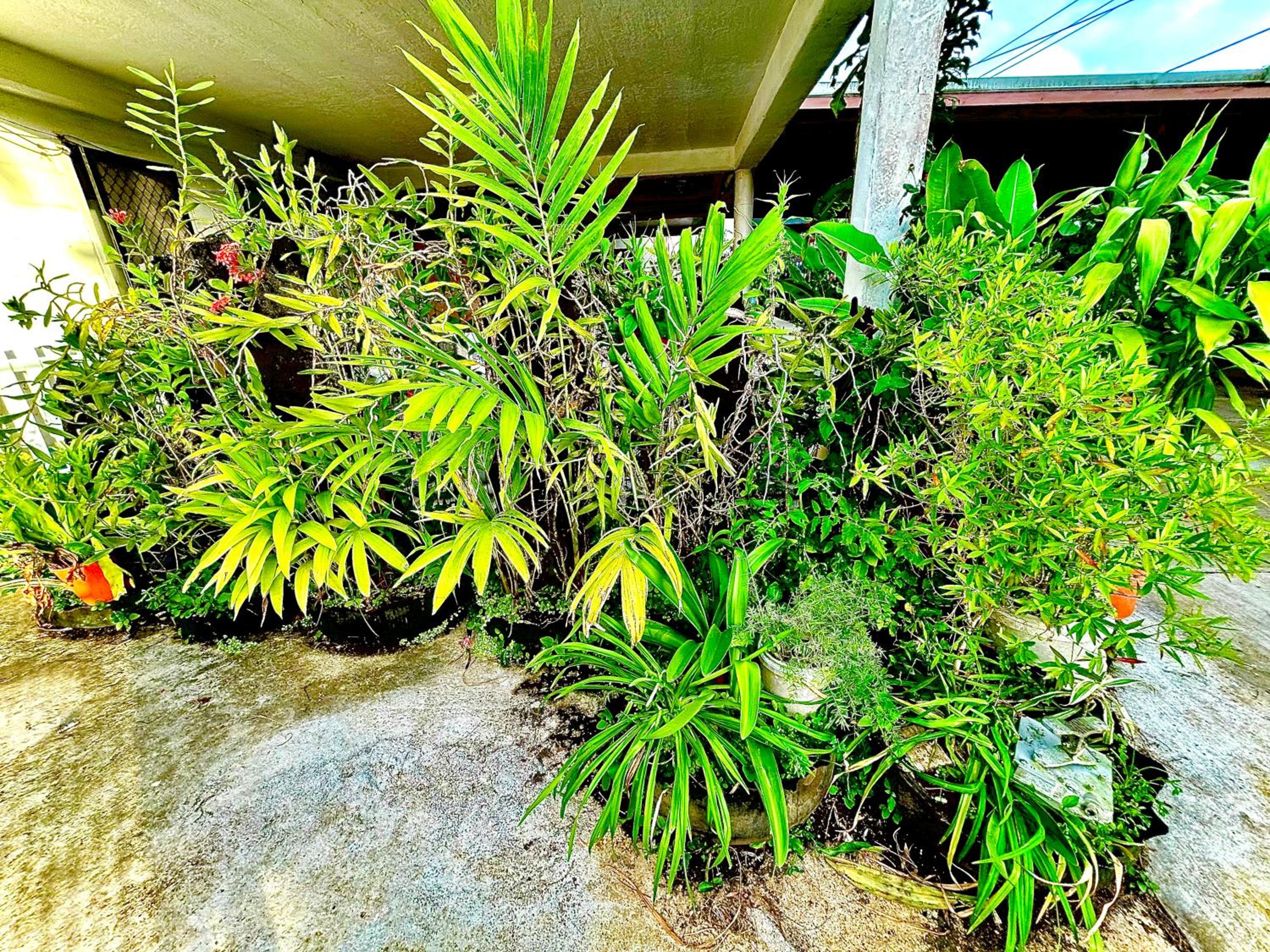 Fe'iloakimisi 2 view 4