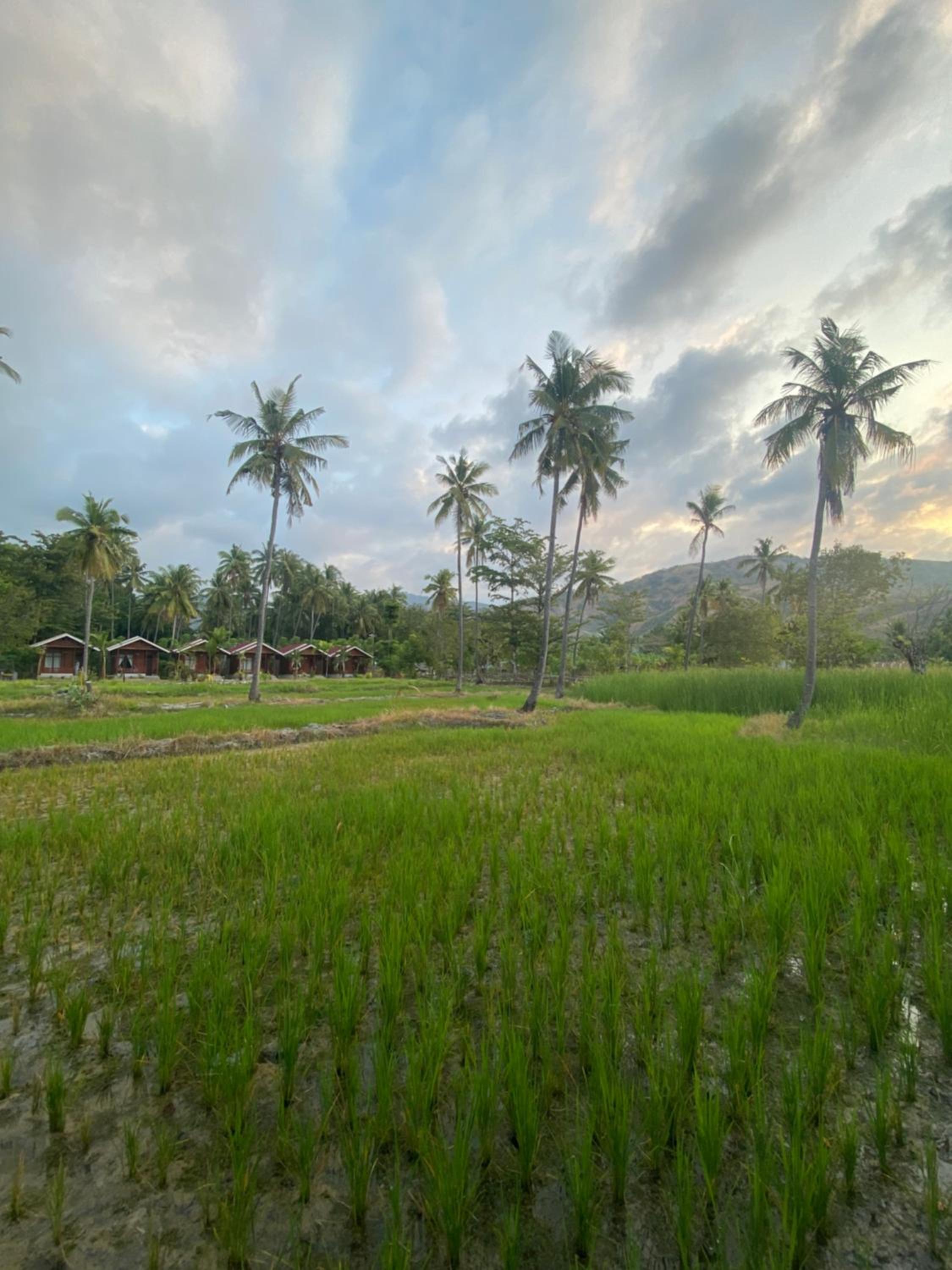 Nuna Bungalows
