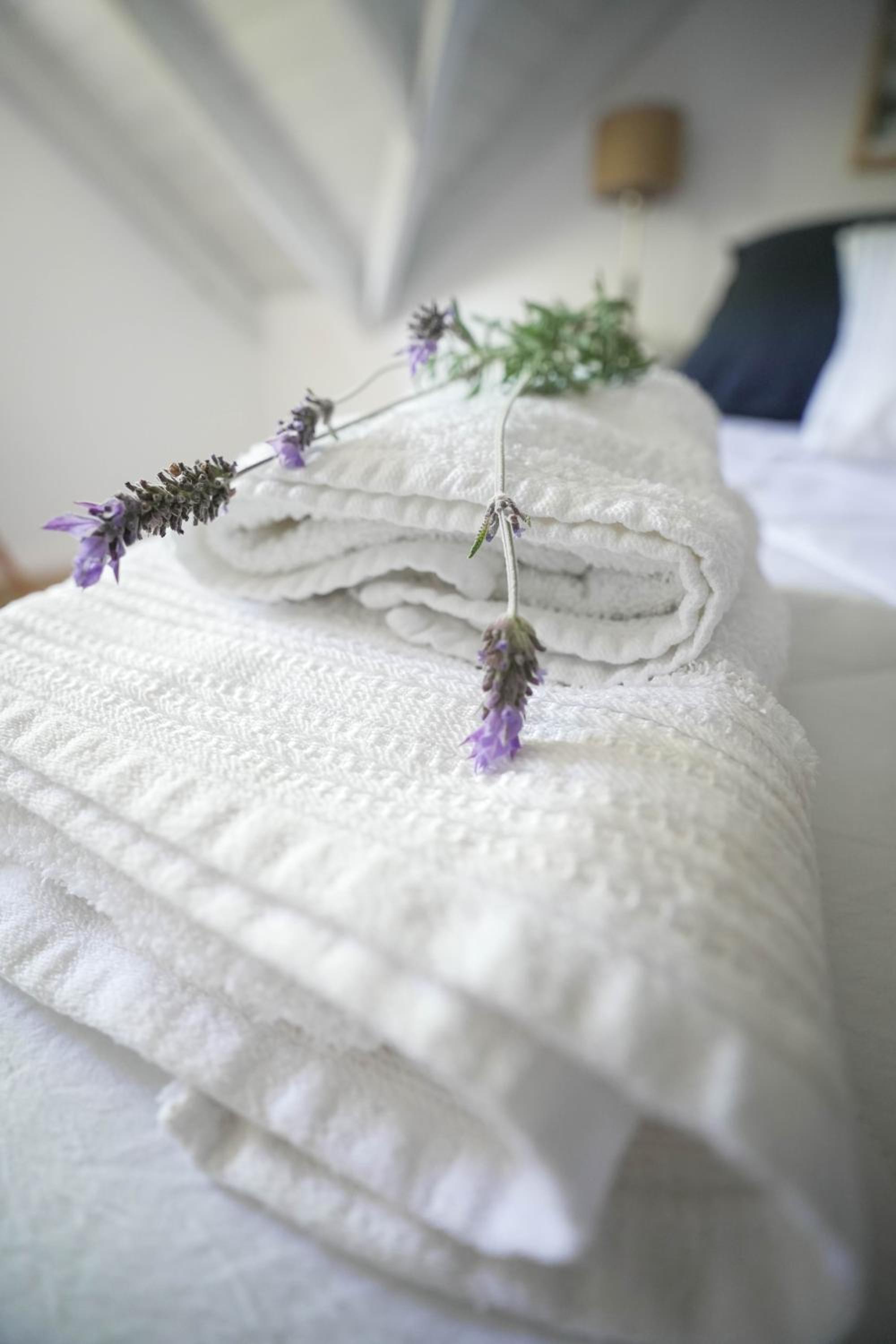 Loft de Playa Calma & Encuentro
