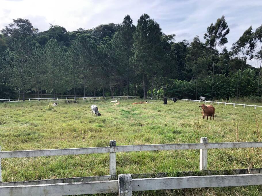 Fazenda São Sebastião - Fazendinha