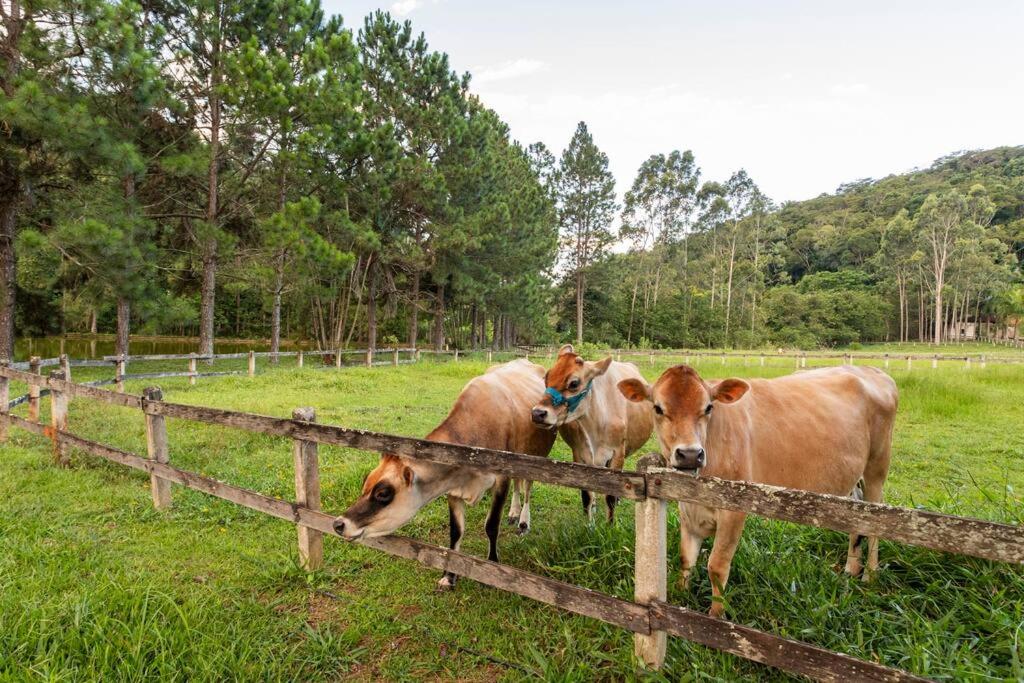 Fazenda São Sebastião - Fazendinha