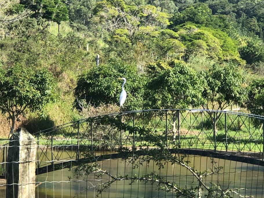 Fazenda São Sebastião - Fazendinha