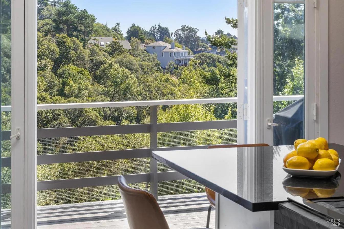 Serene Mill Valley Escape view 5