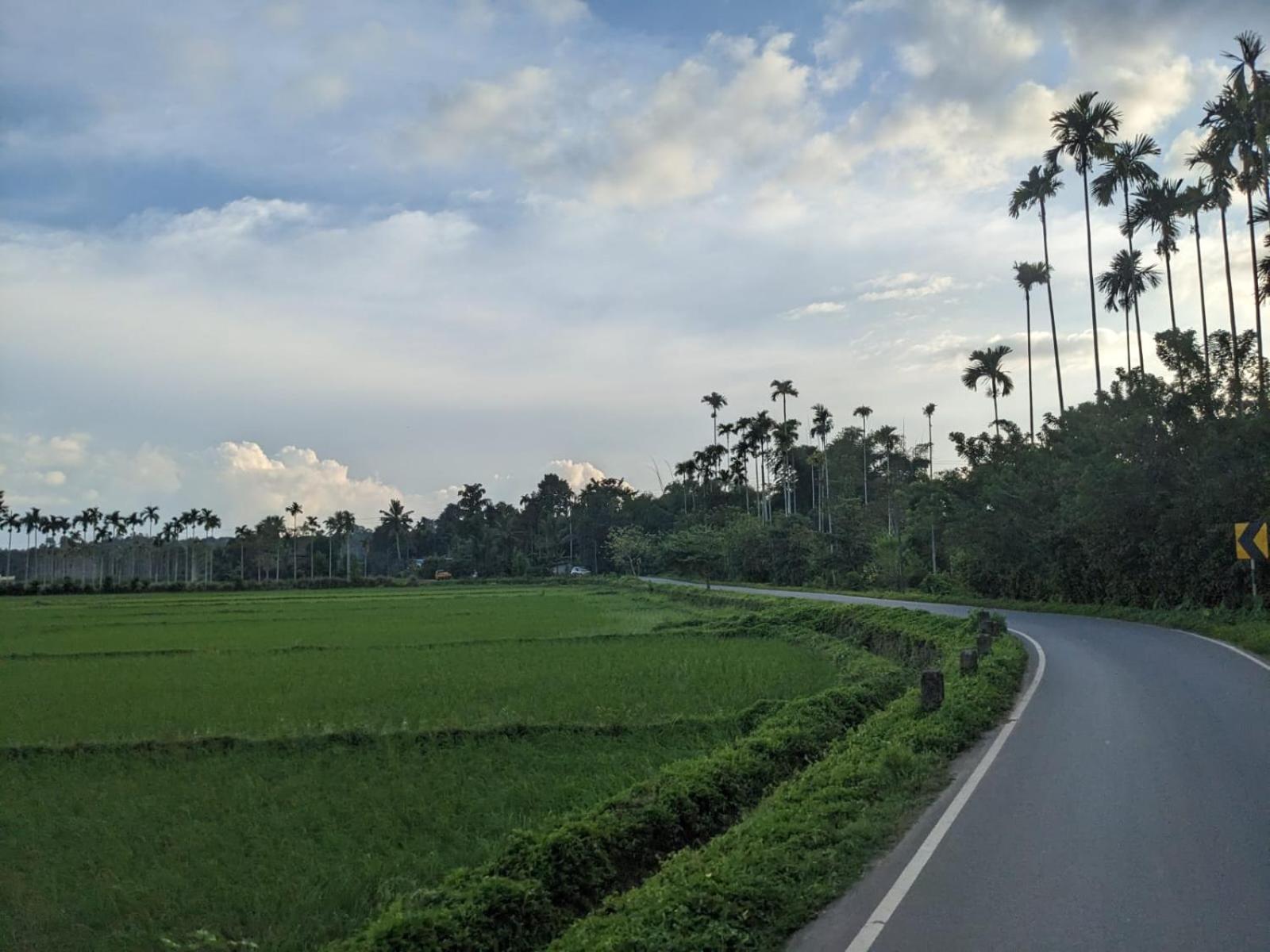 Vasam Outstay - Wayanad view 4