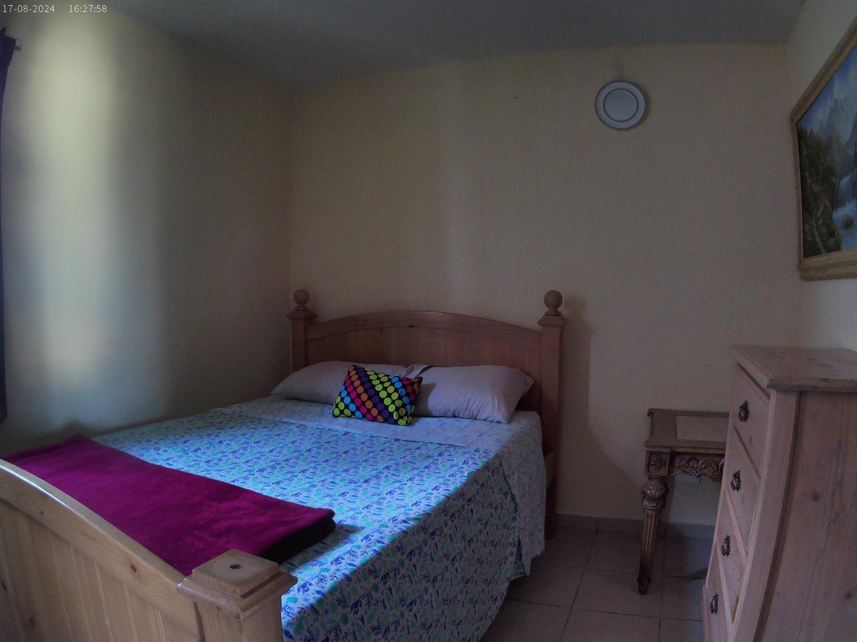 Photo 45