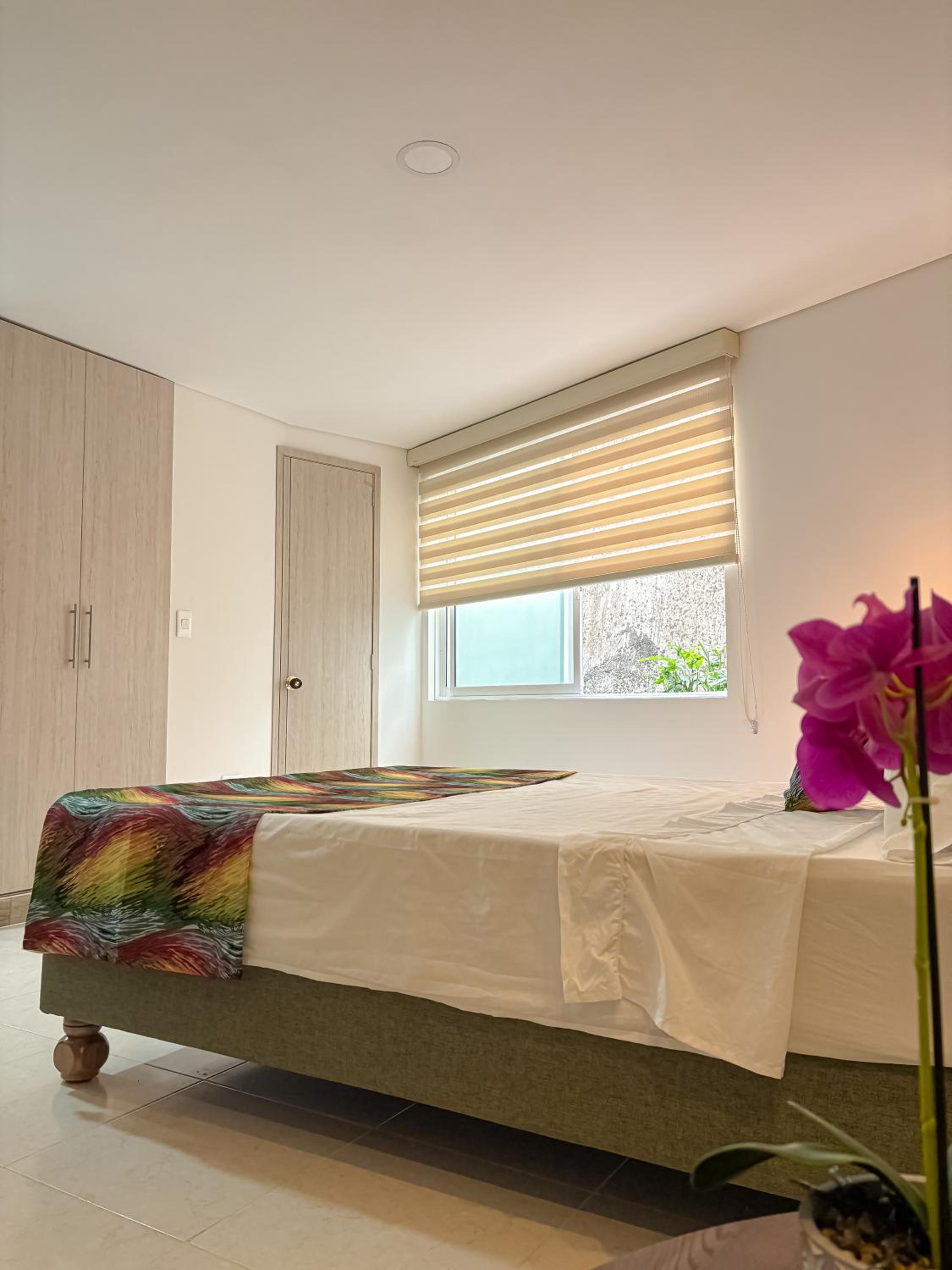 Orquídea Nuevo y exclusivo loft