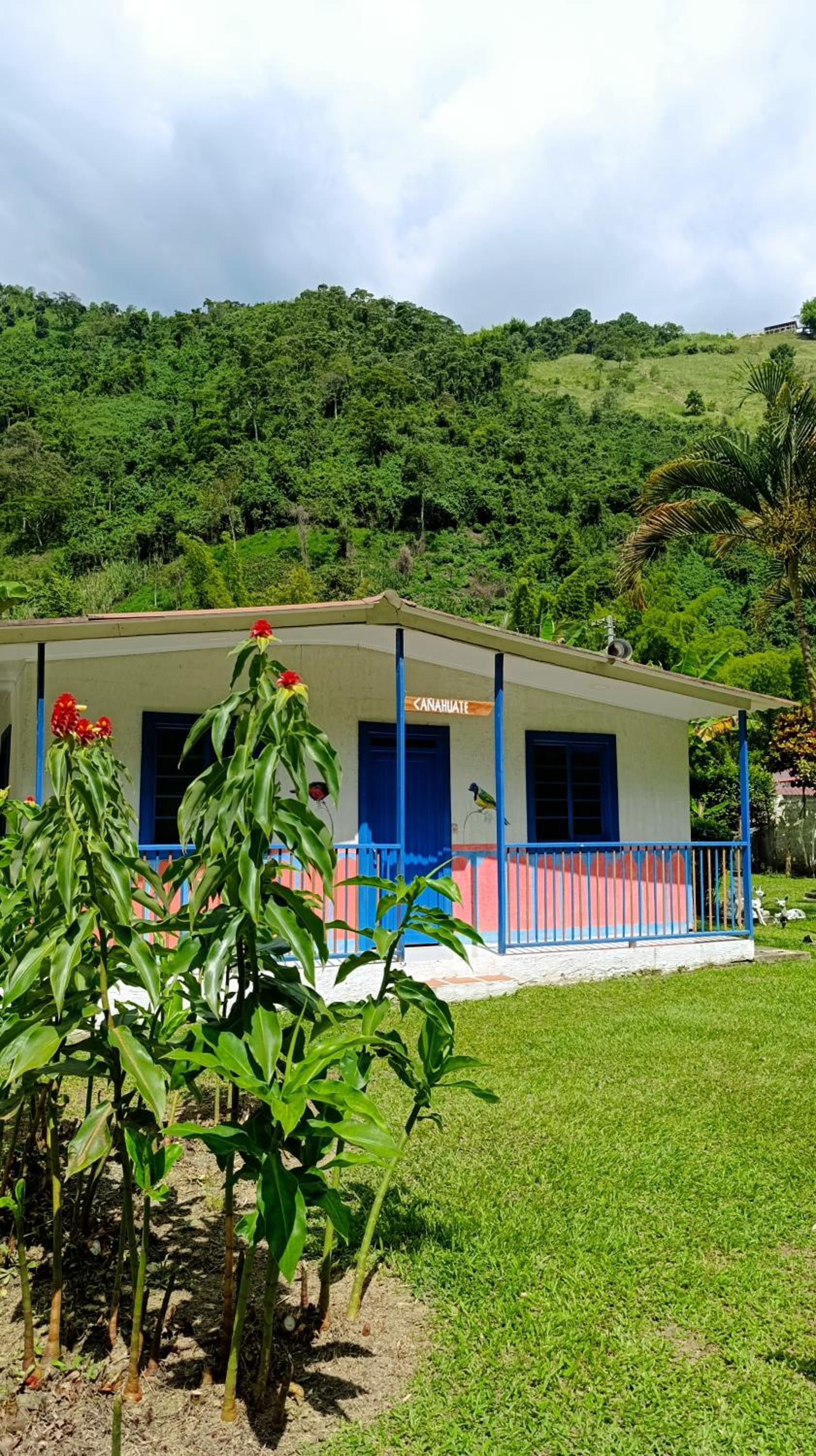 Eco Hotel Guadalupana