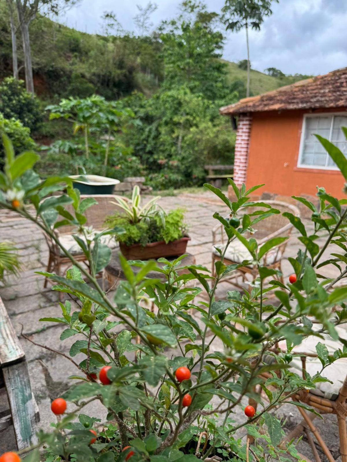 Sitio Reis Membeca