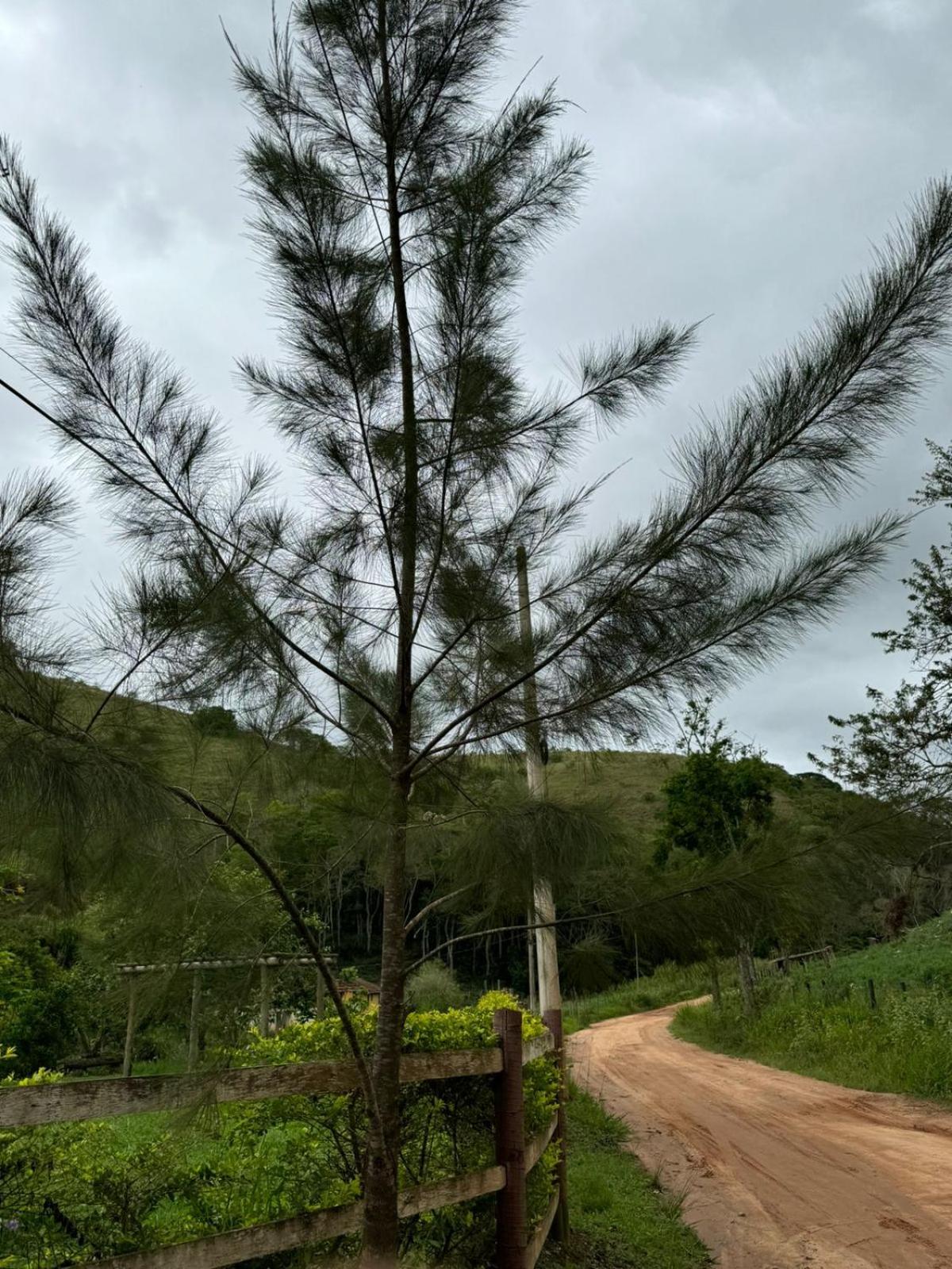 Sitio Reis Membeca