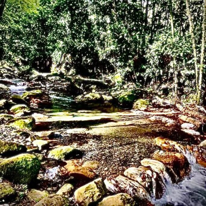 Rincón del Colibrí