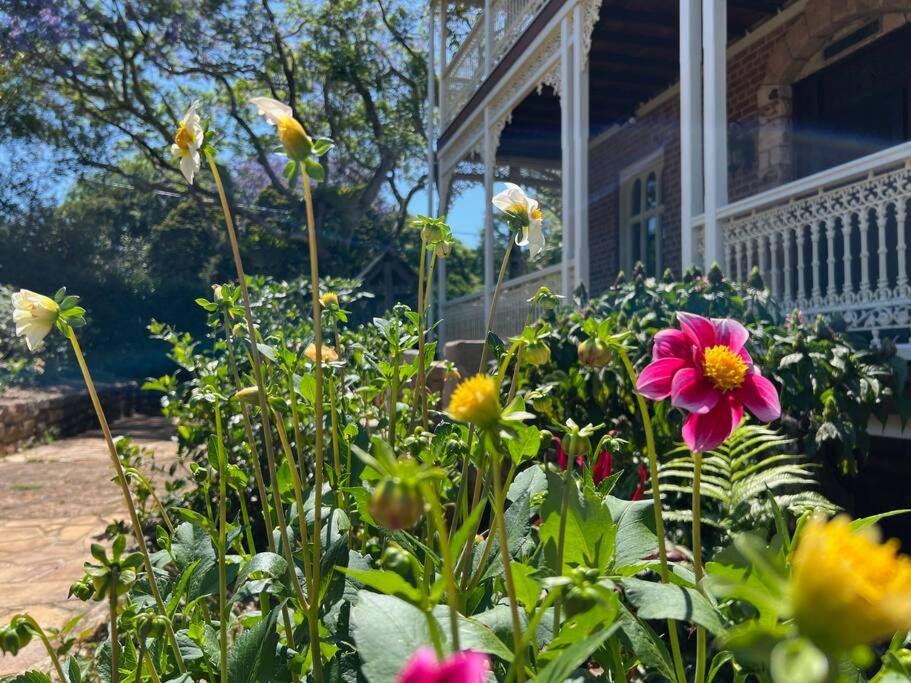 Currawong House