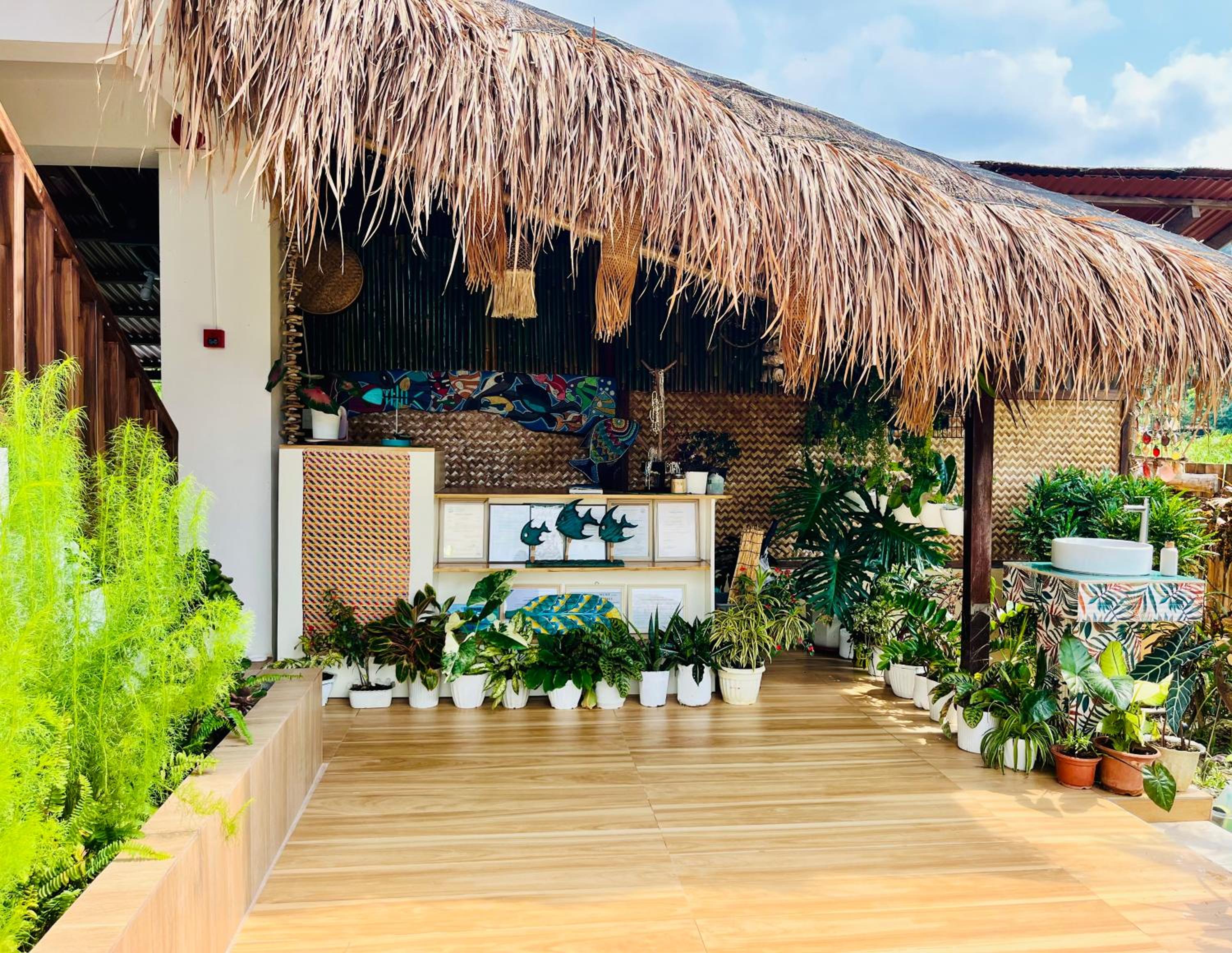 La Palapa Inn Port Barton view 2