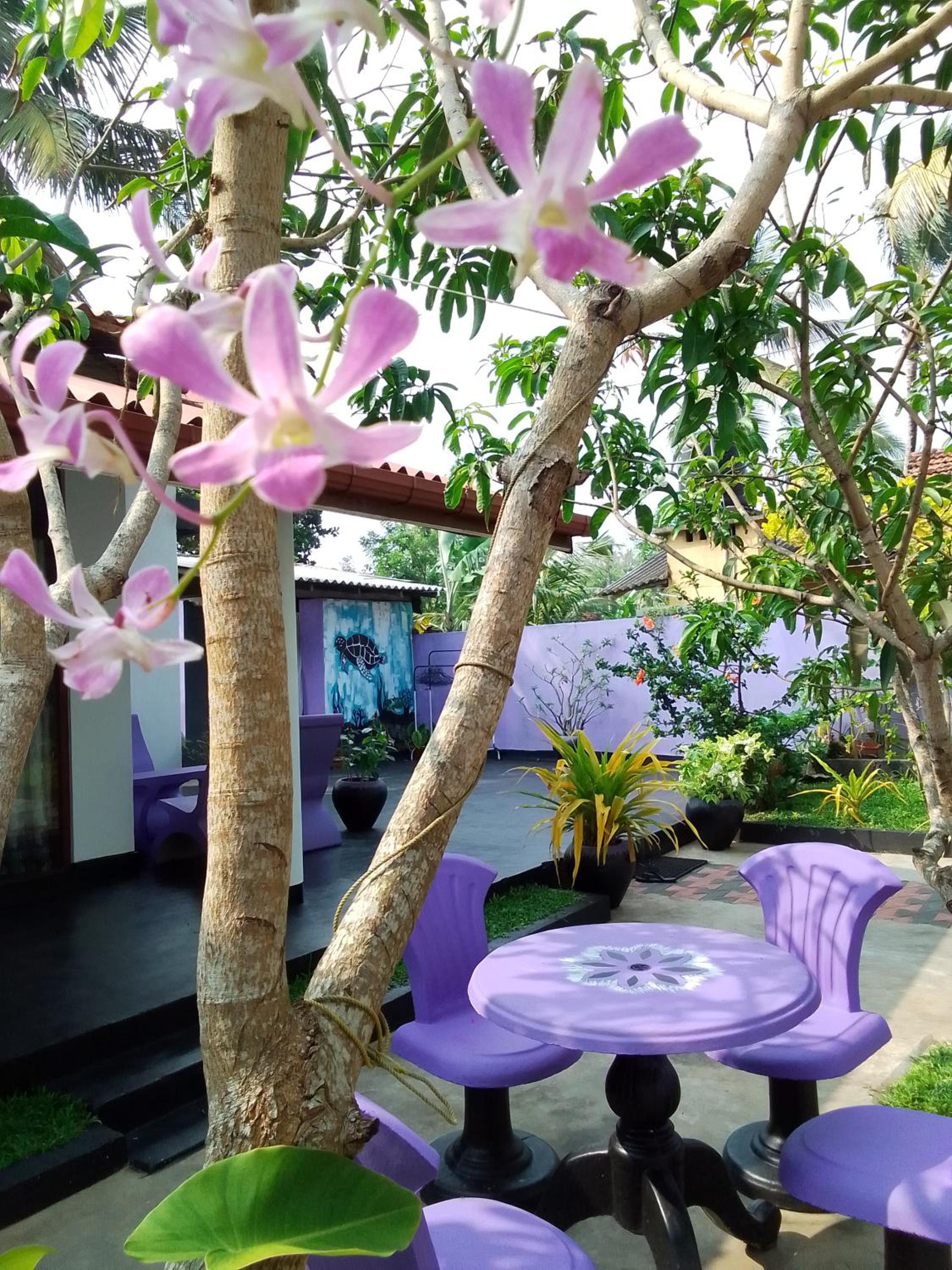 Mirissa Surf Villa view 2