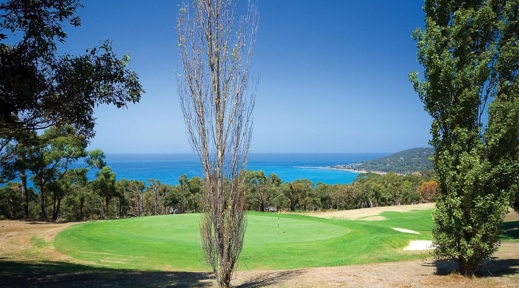 Watershack - Expansive ocean views, close to town