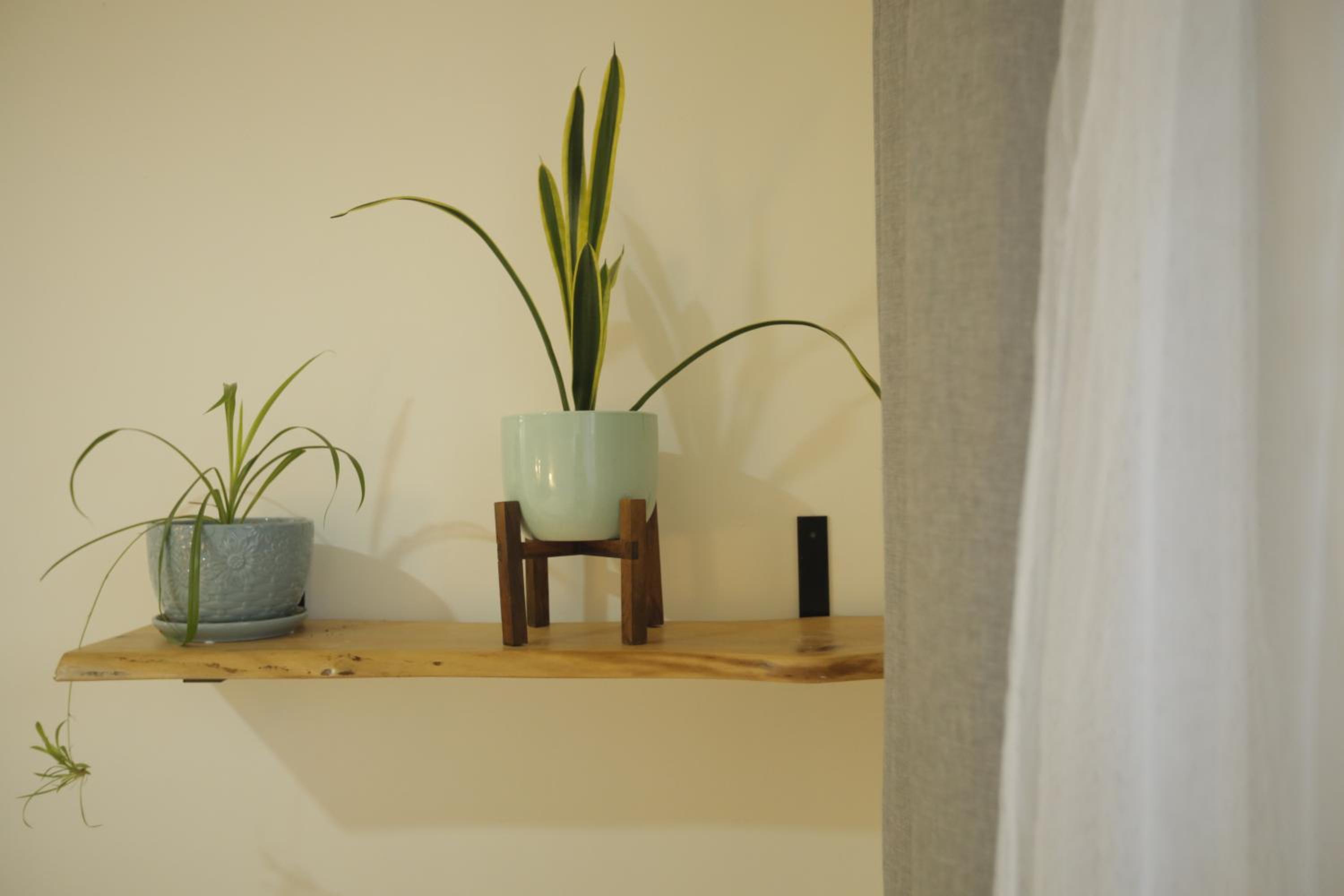 Sweet home at Sunnyside - Room 3