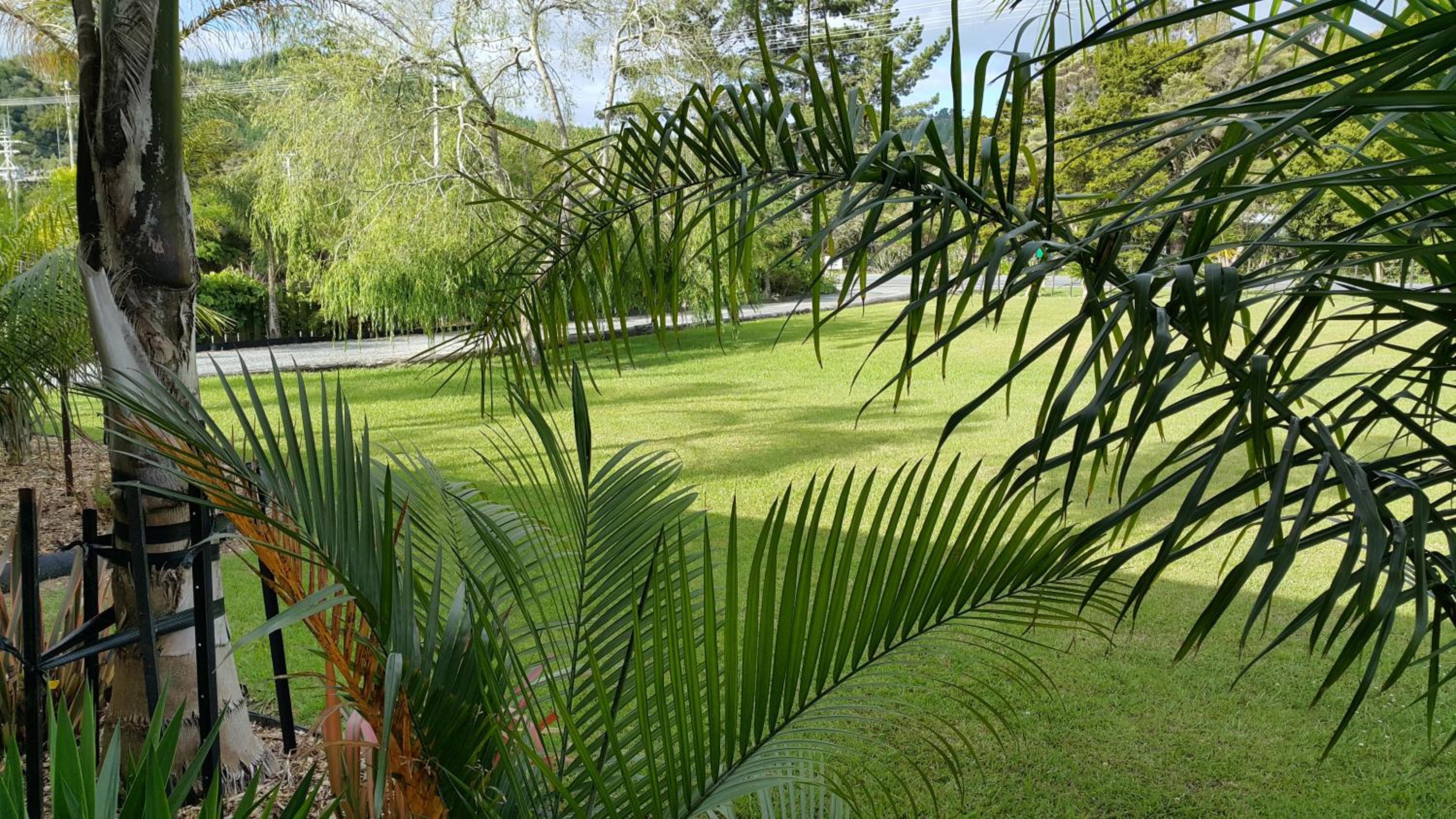 Peacock Lodge in Ngunguru
