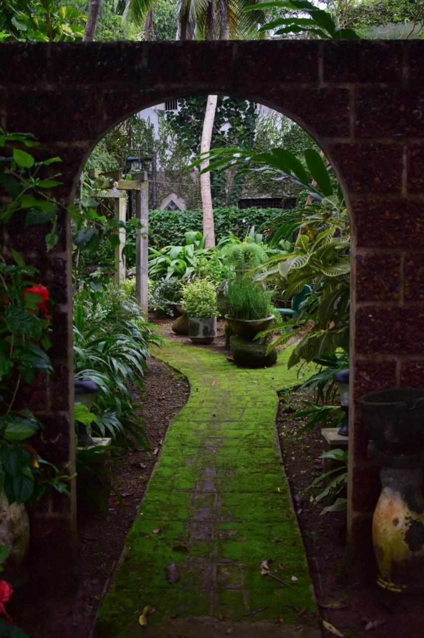 Miracle Garden
