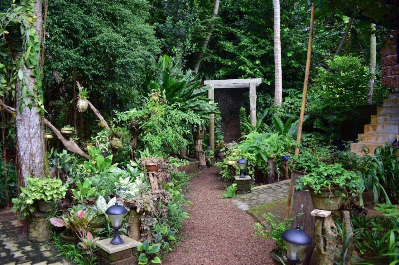 Miracle Garden