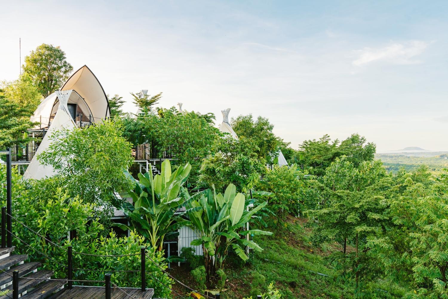 Panorama Glamping