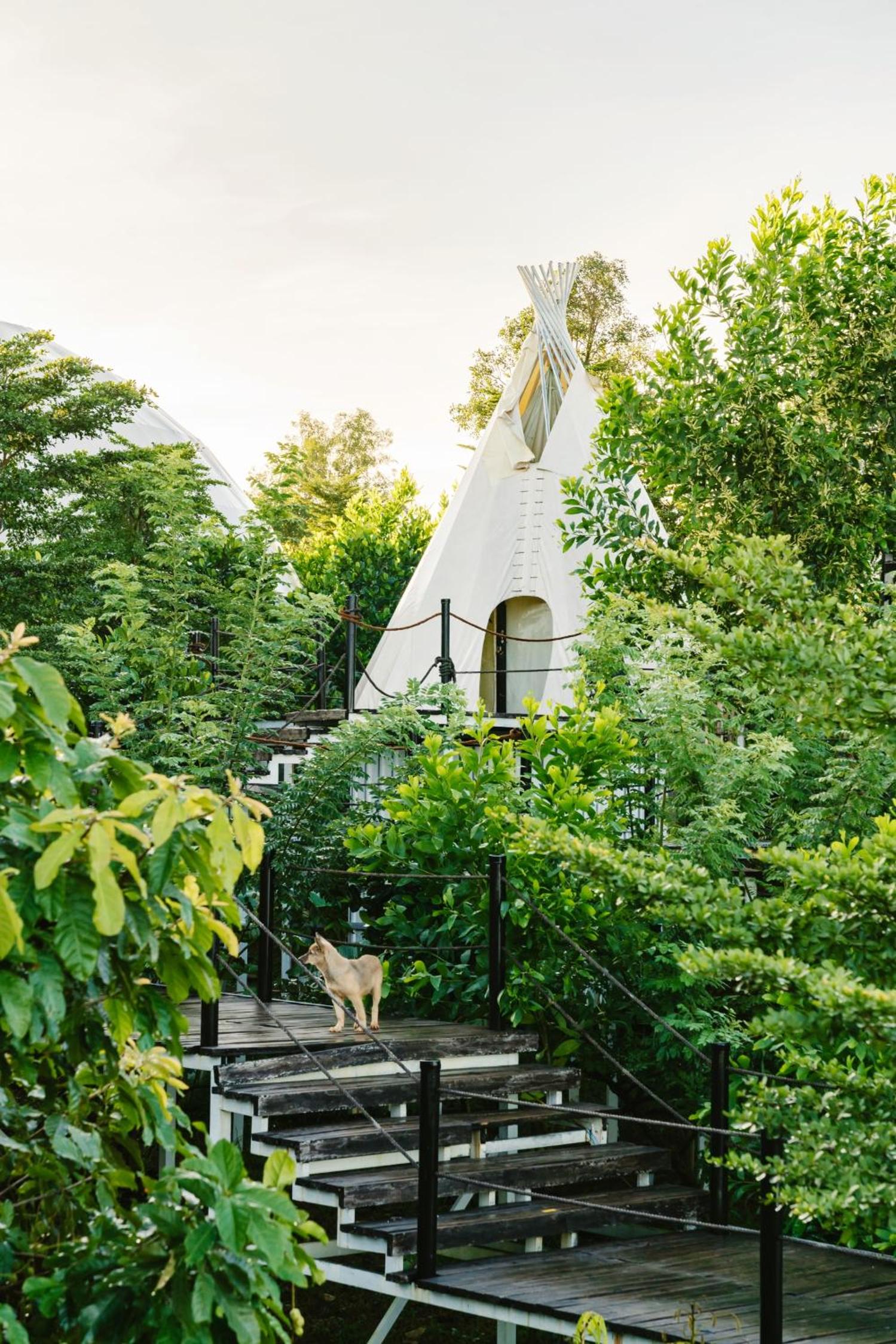 Panorama Glamping